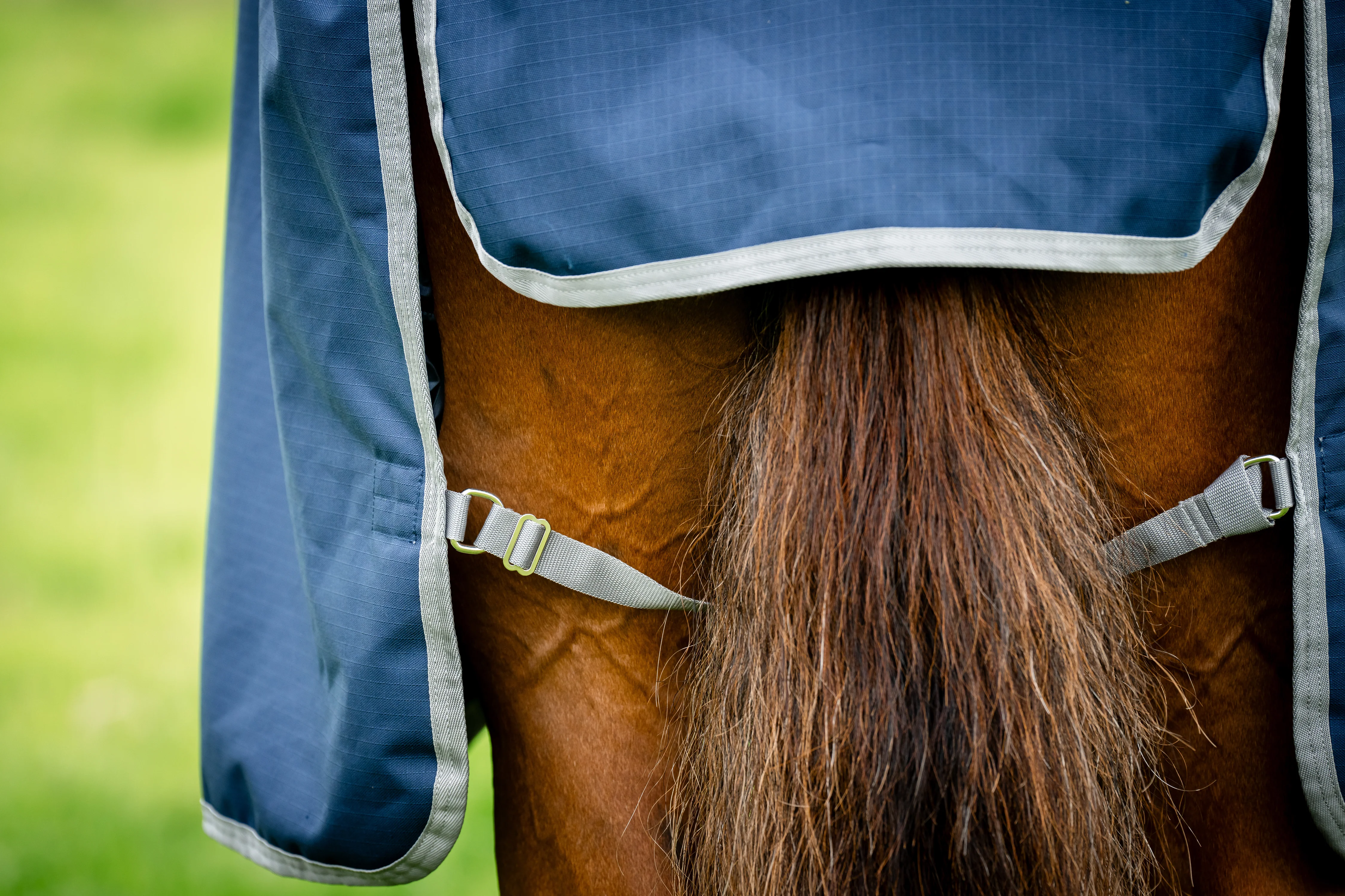 Horseware® Ireland Amigo® Ripstop 900D 200 Gram Standard Neck Turnout - Image 5