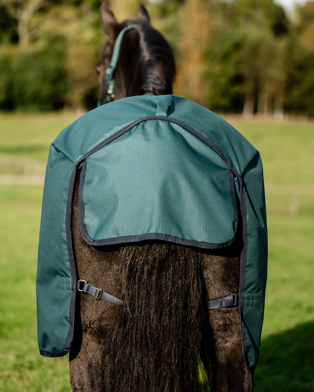 Horseware® Ireland Amigo® Ripstop 900D 200 Gram Standard Neck Turnout–Seasonal Color - Image 11
