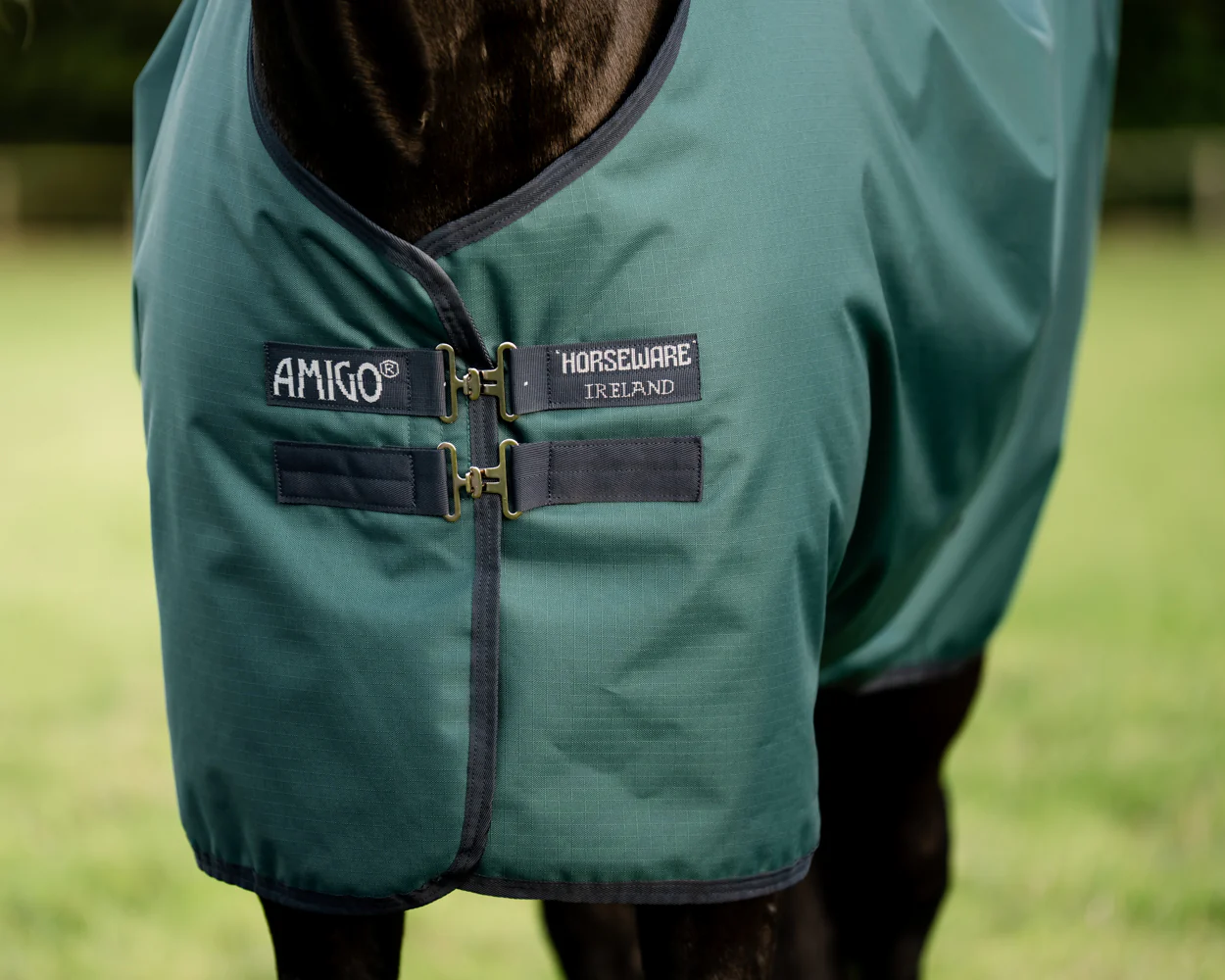 Horseware® Ireland Amigo® Ripstop 900D 200 Gram Standard Neck Turnout–Seasonal Color - Image 8
