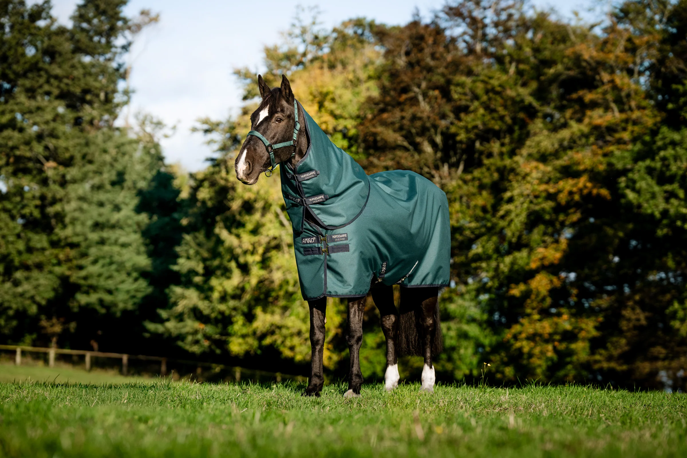 Horseware® Ireland Amigo® Ripstop 900D 200 Grams Plus Turnout - Image 8