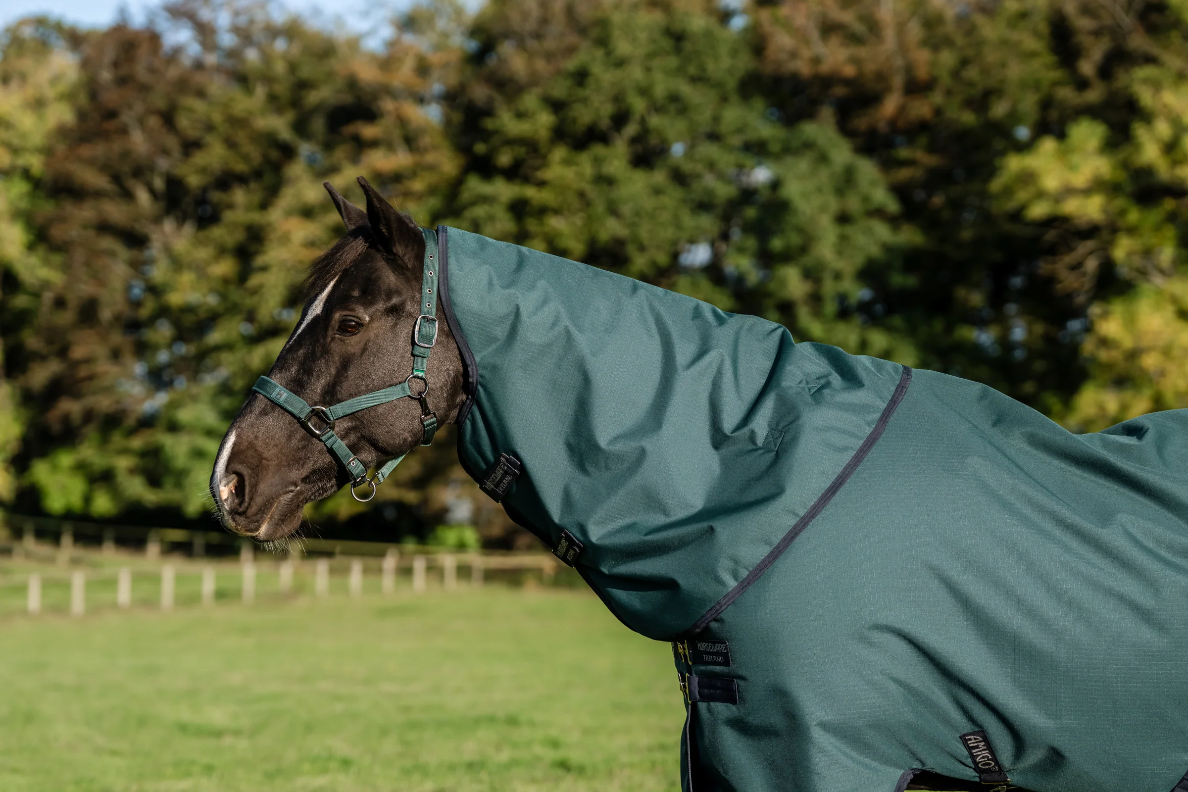 Horseware® Ireland Amigo® Ripstop 900D 200 Grams Plus Turnout - Image 9