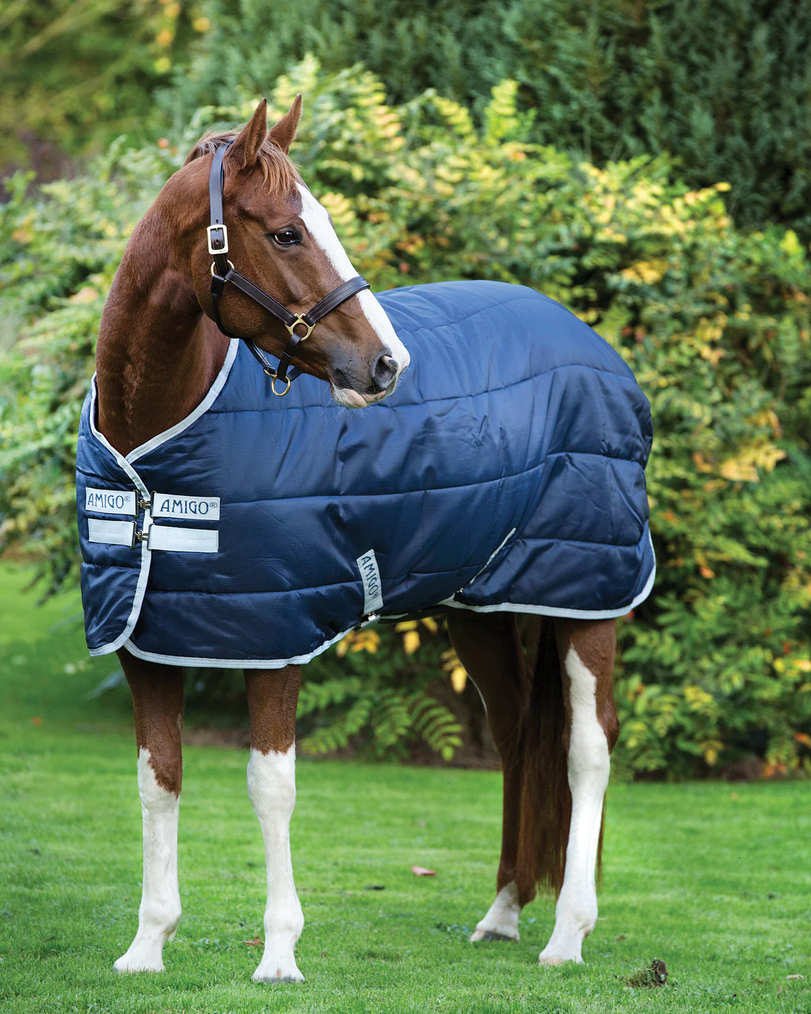 Horseware® Ireland Amigo® Stable Blanket - Image 3