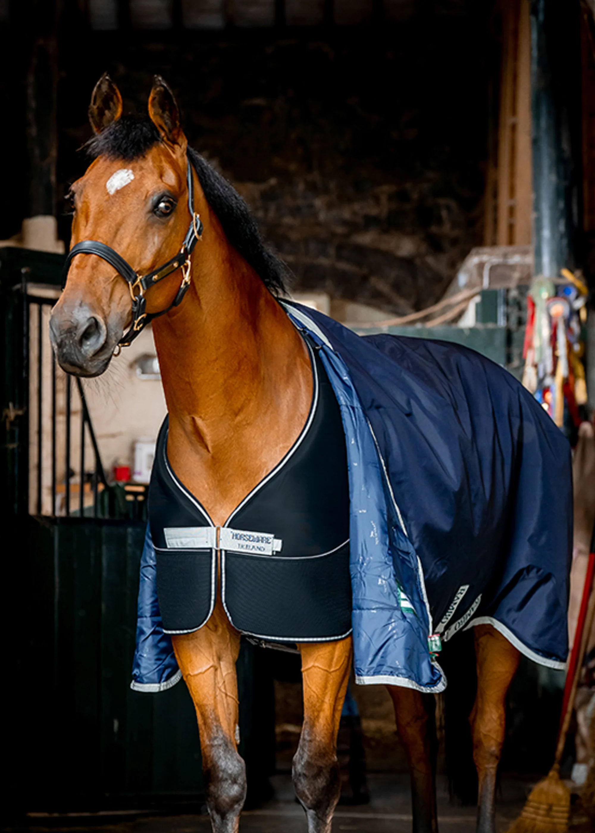 Horseware® Ireland Dry Liner - Image 3
