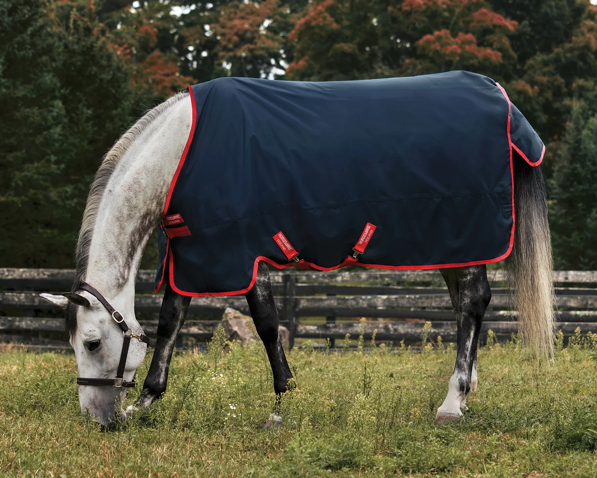 Horseware® Ireland Exclusive 600D 100 Gram Ripstop Turnout Blanket - Image 2