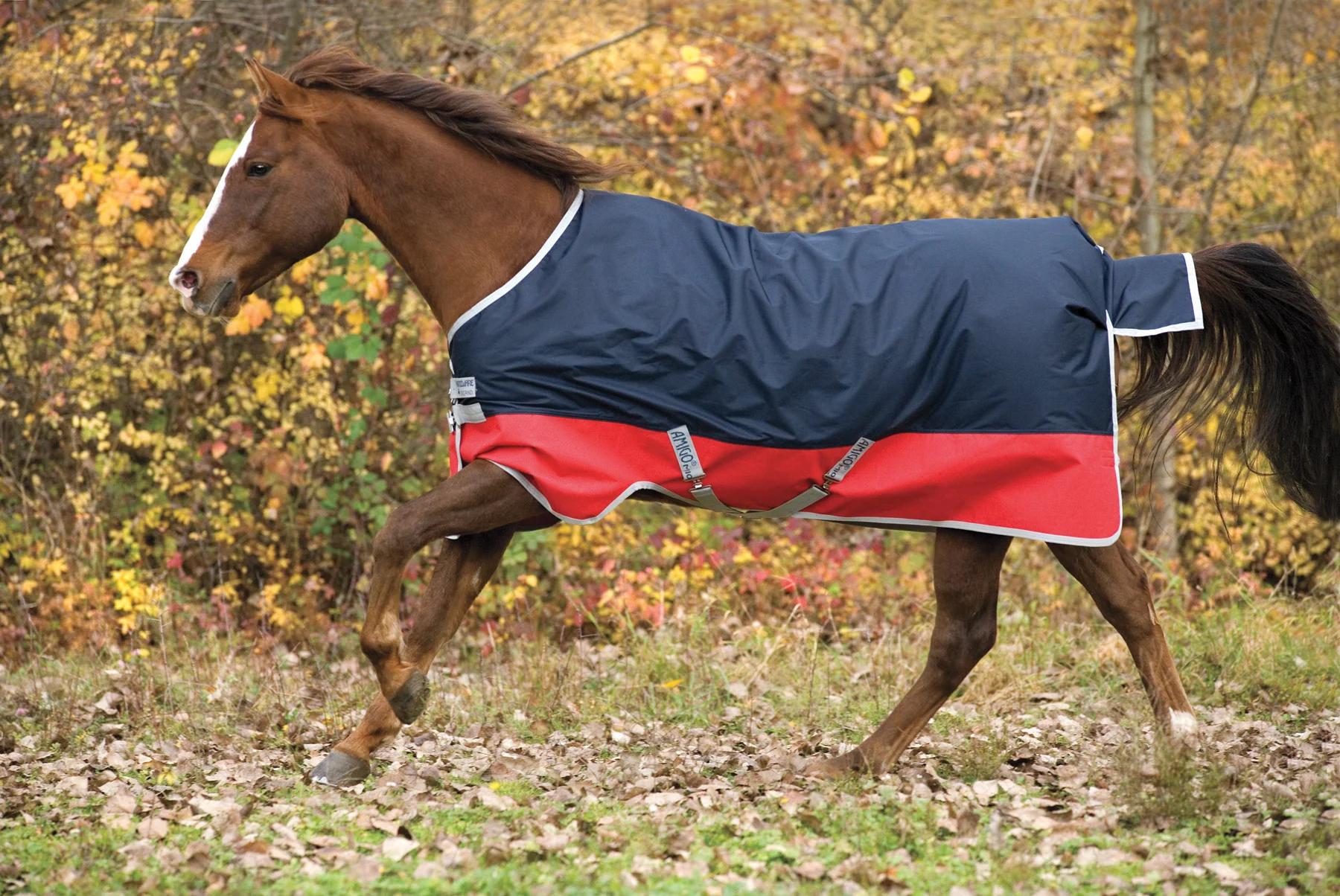Horseware® Ireland Mio® Lite Turnout Sheet - Image 7
