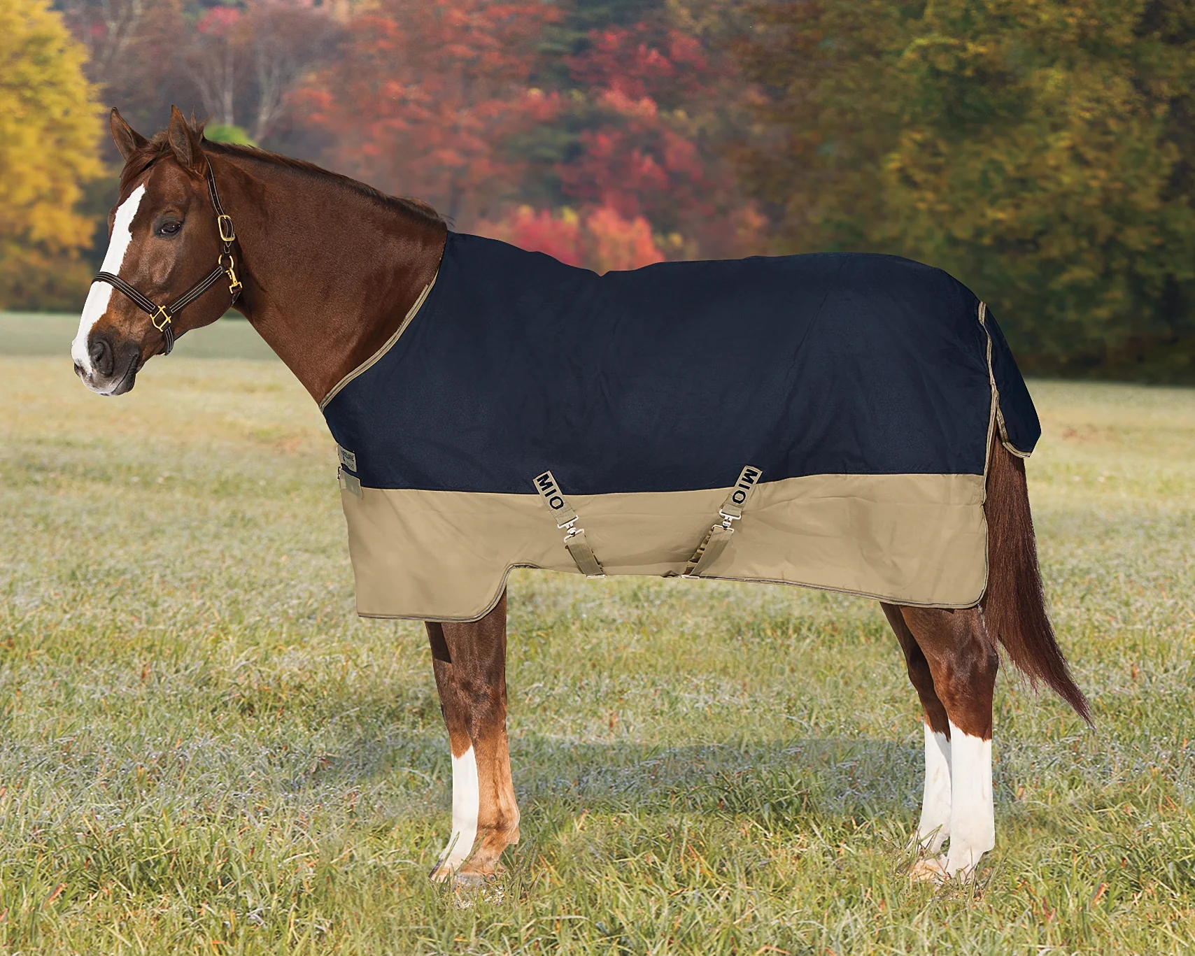 Horseware® Ireland Mio® Lite Turnout Sheet - Image 8