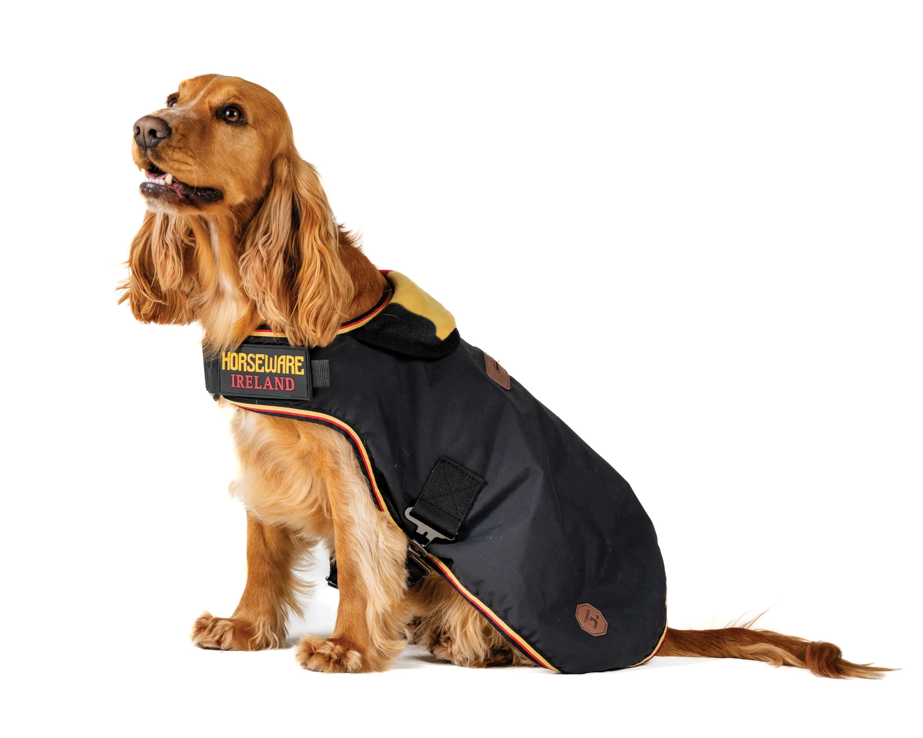 Horseware® Ireland Newmarket Dog Coat L-XXXL - Image 3