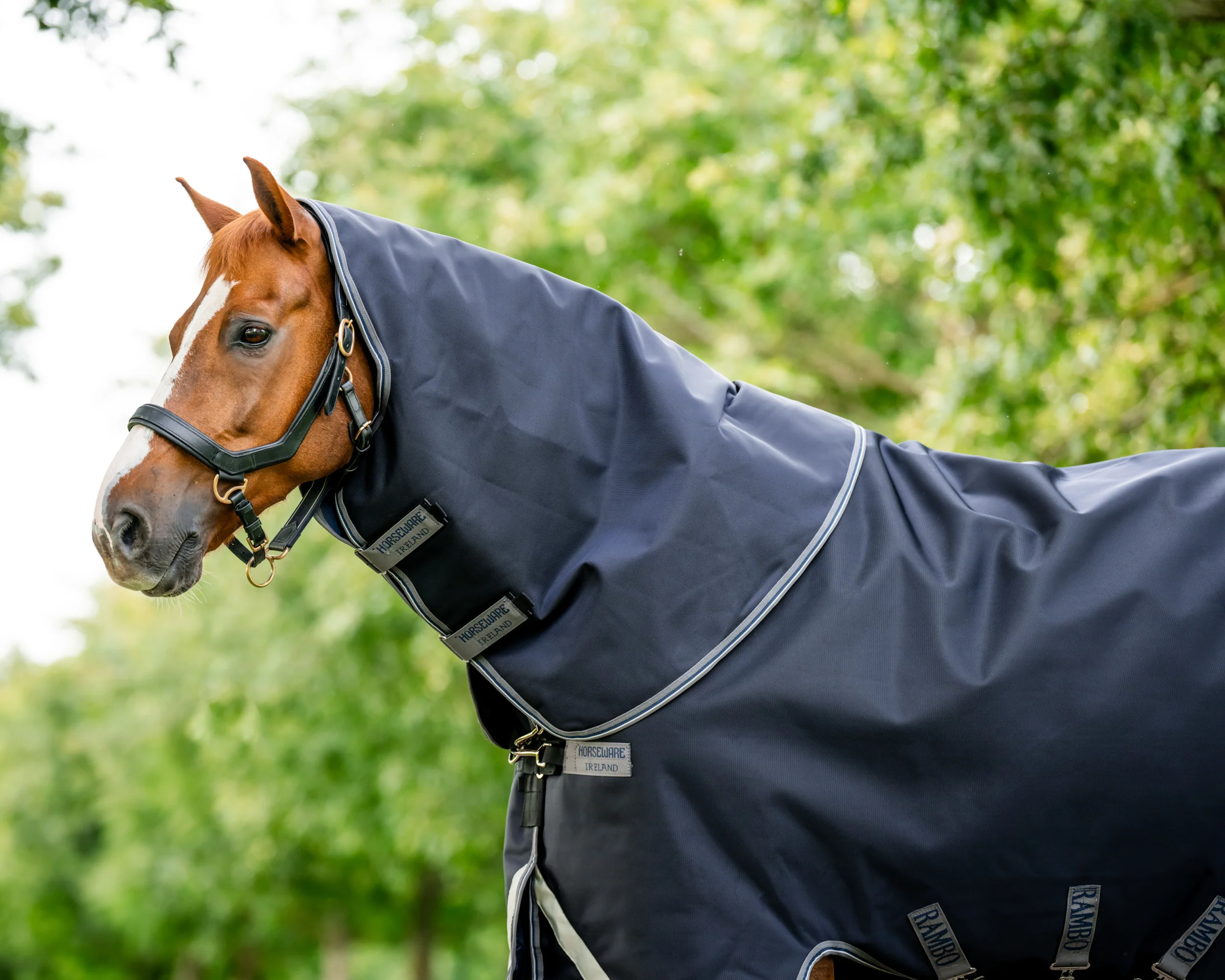 Horseware® Ireland Rambo® 1680D Vari-Layer Plus Medium Turnout–250G - Image 7
