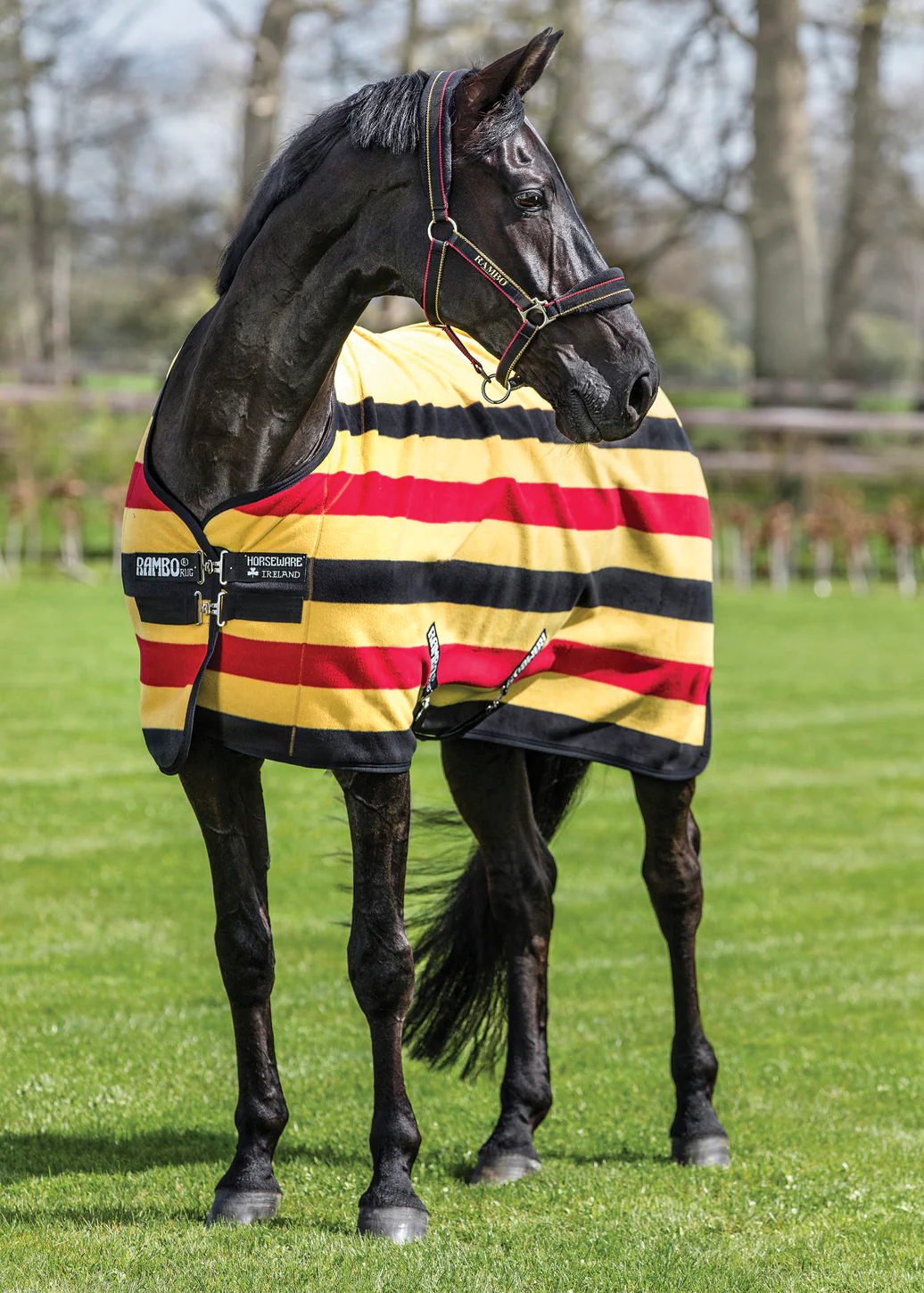 Horseware® Ireland Rambo® Deluxe Fleece - Image 7