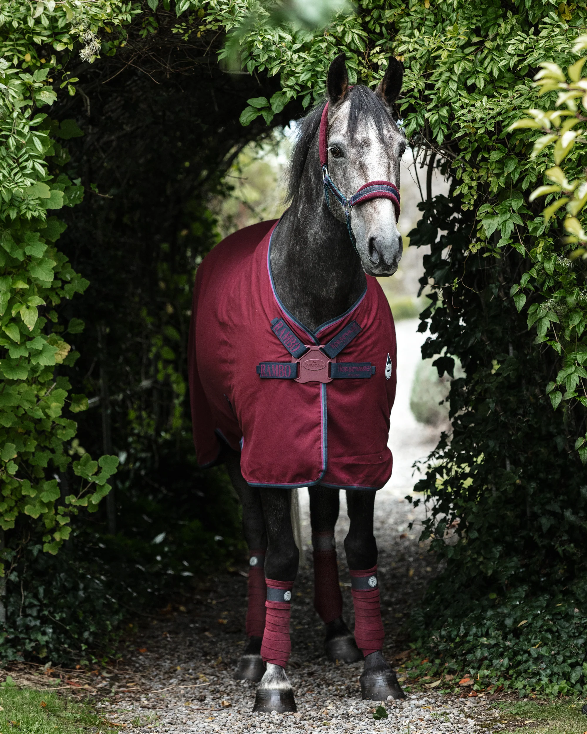 Horseware® Ireland Rambo® Helix Stable Sheet with Disc Front Closure - Image 5