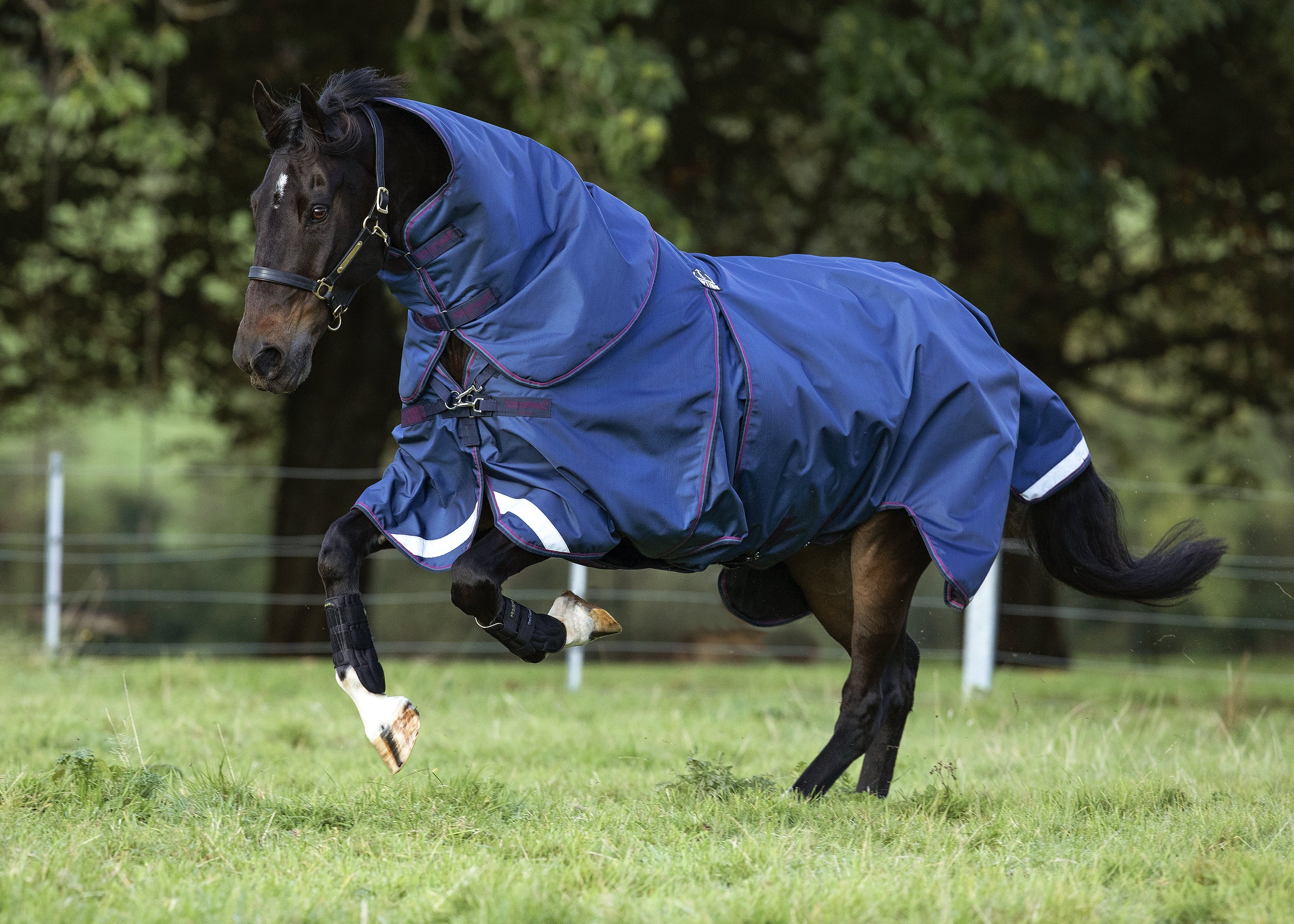 Horseware® Ireland Rambo® Optimo Turnout Blanket