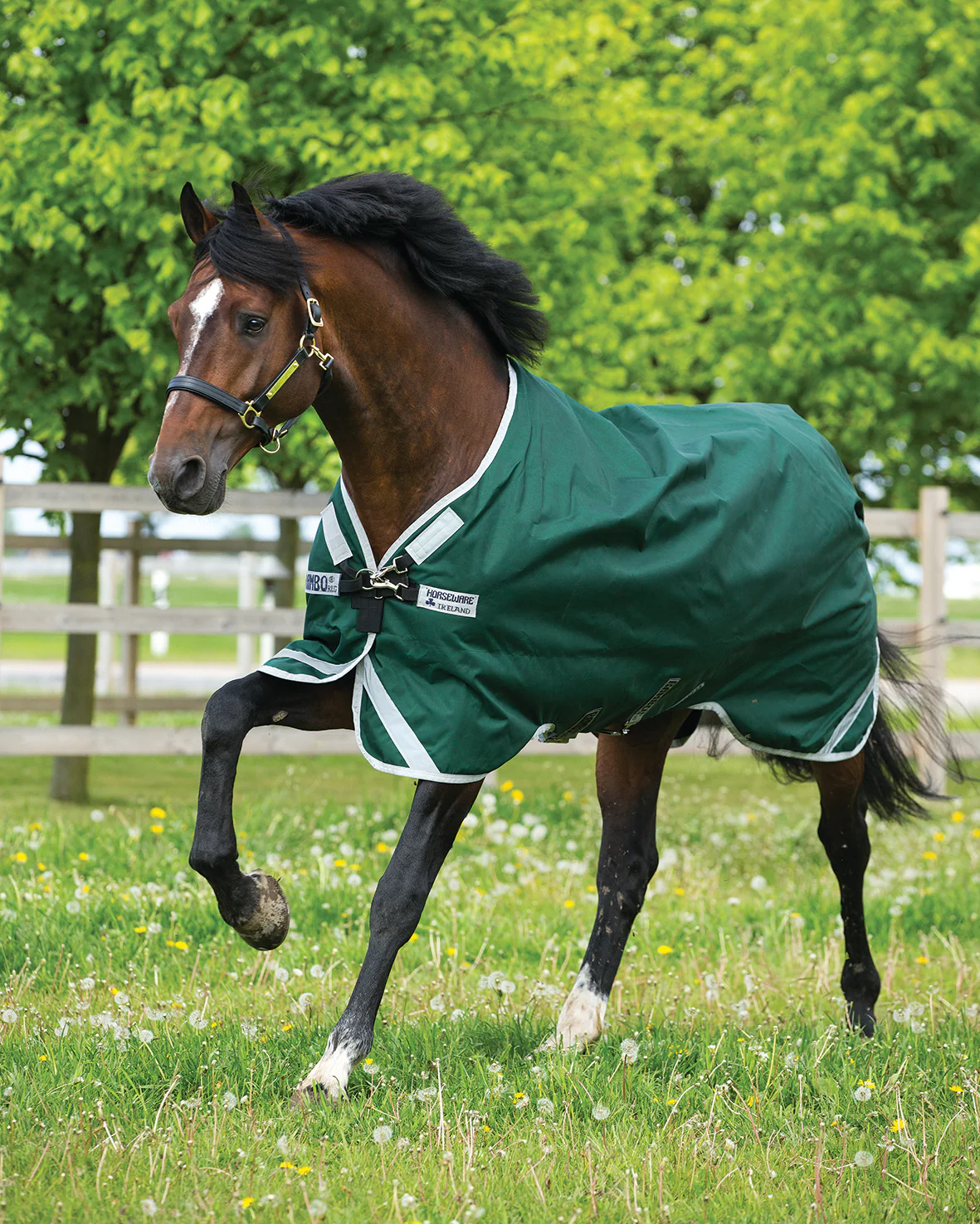 Horseware® Ireland Rambo® Original Lite with Leg Arches™ Turnout Sheet - Image 4