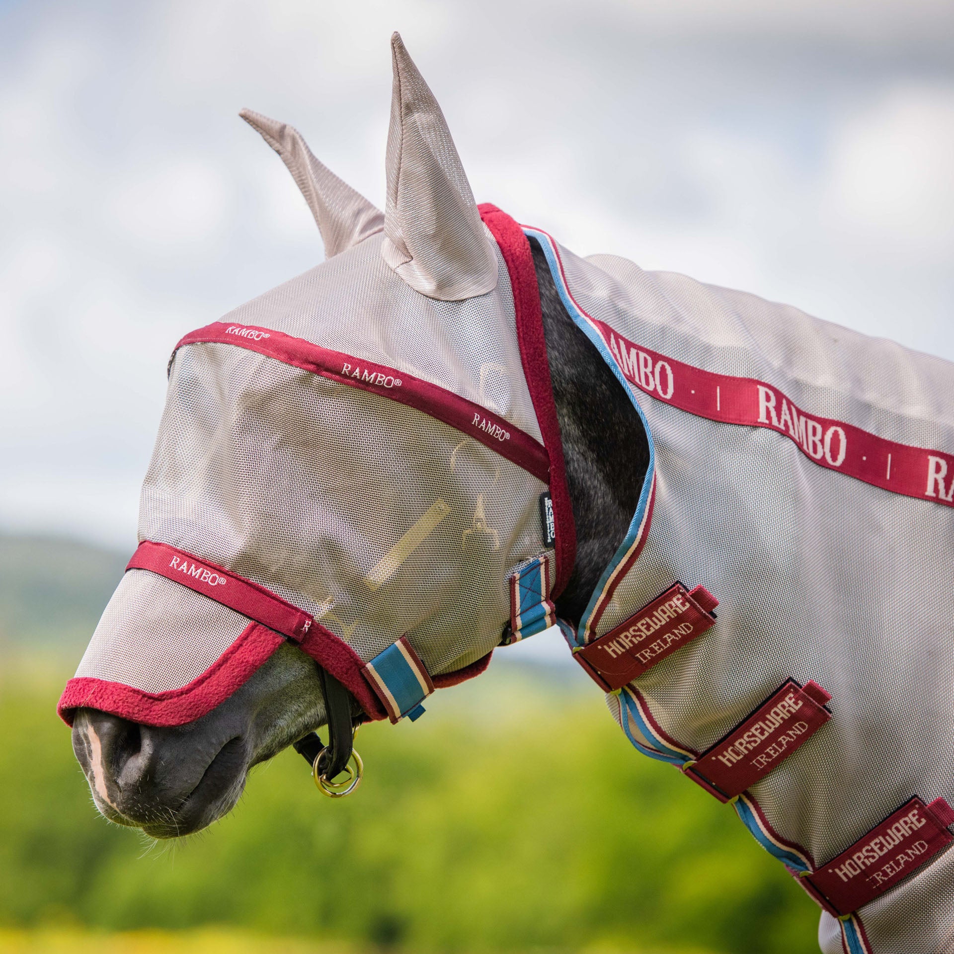 Horseware® Ireland Rambo® Plus Fly Mask - Image 6