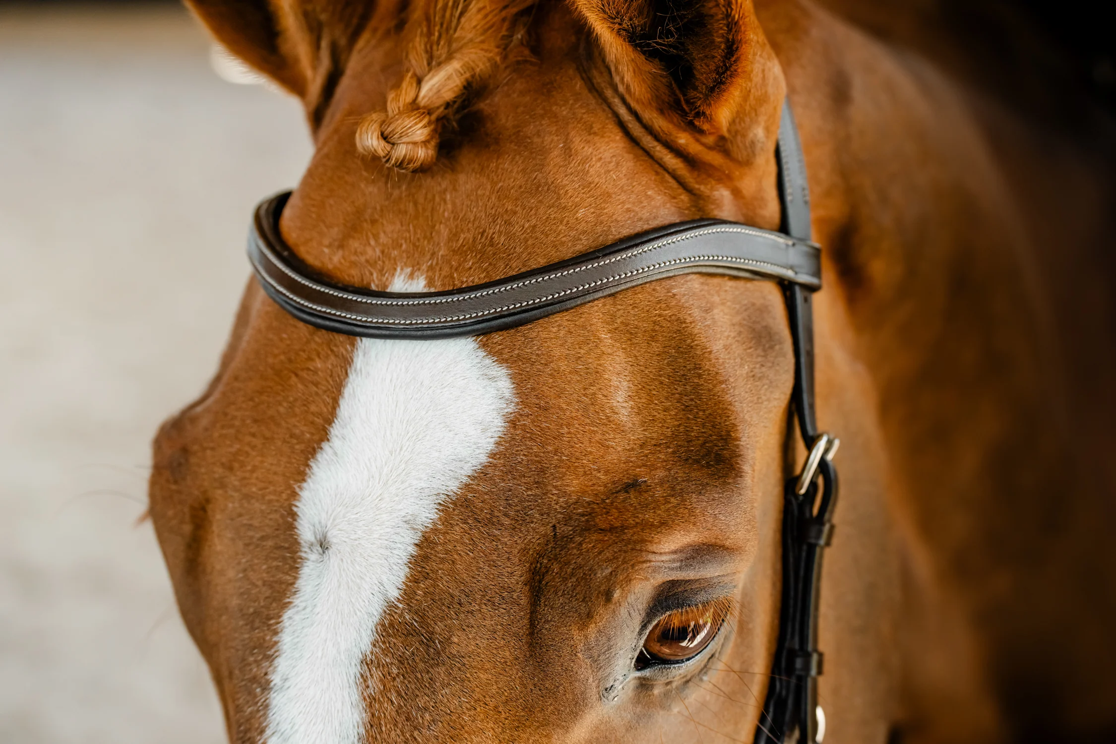 Horseware® Micklem Competition Bridle - Image 3