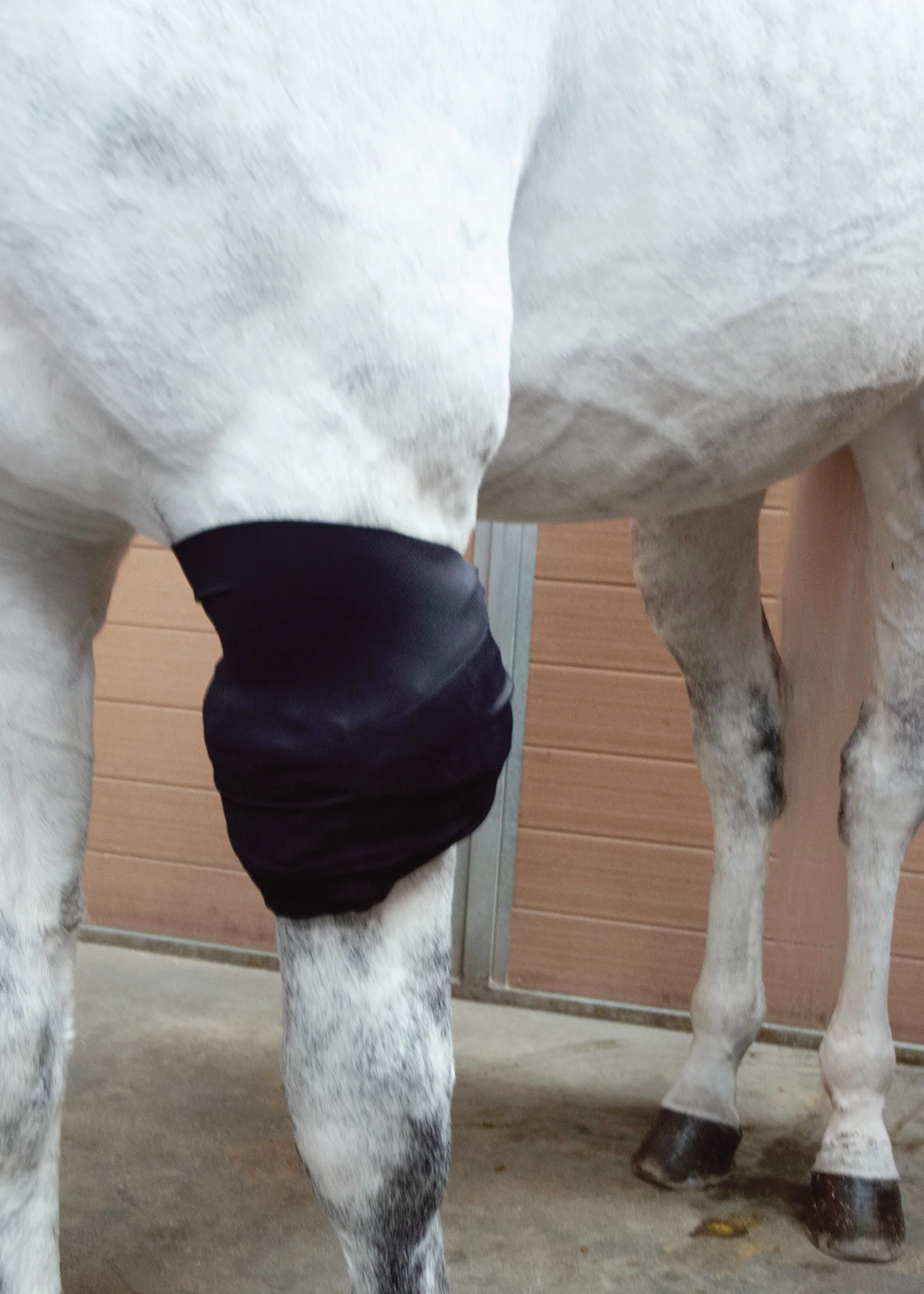 Ice HorseĀ® All-Purpose Wrap - Image 2