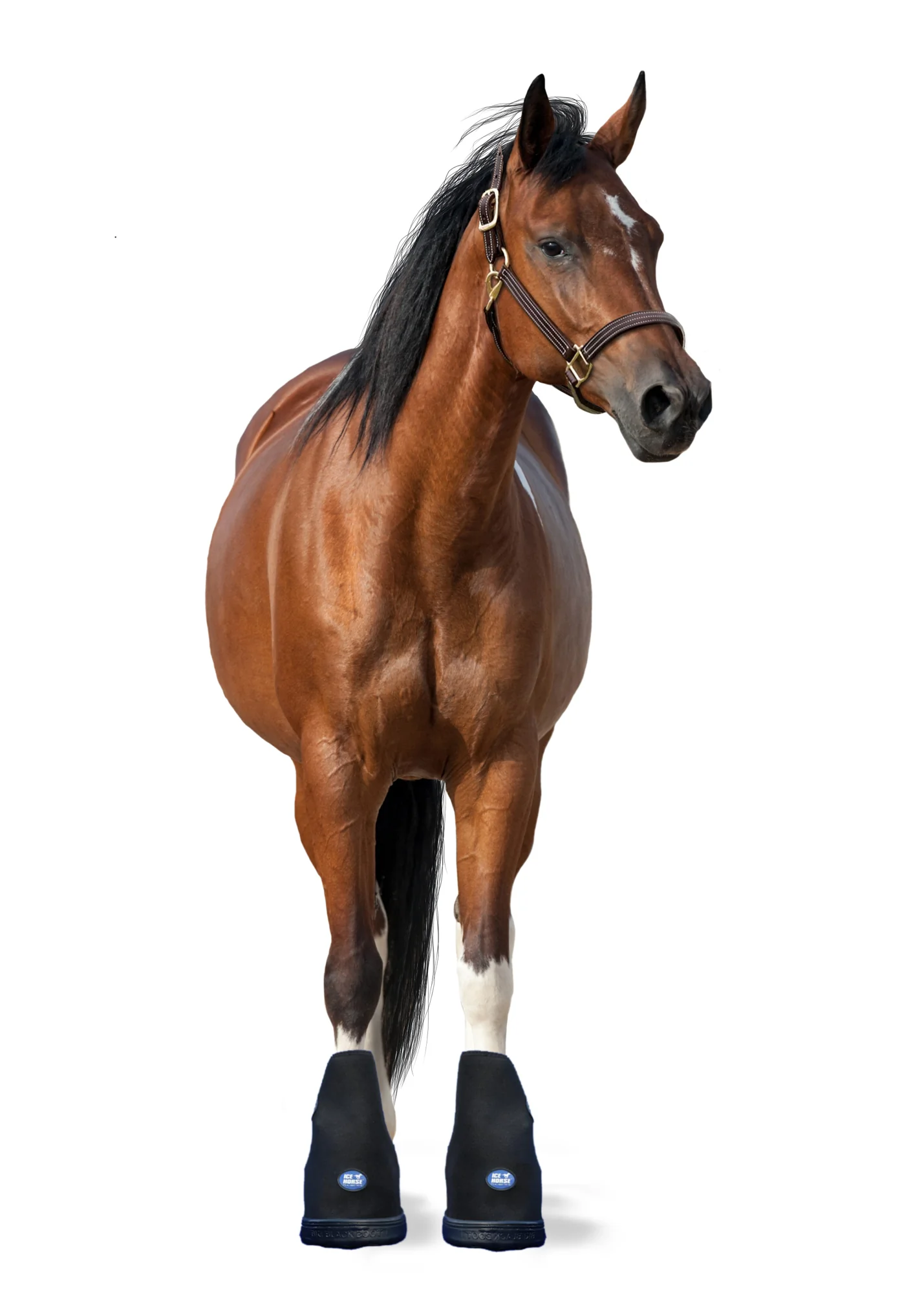 Ice Horse® Medium Laminitis Pro Boot - Image 4