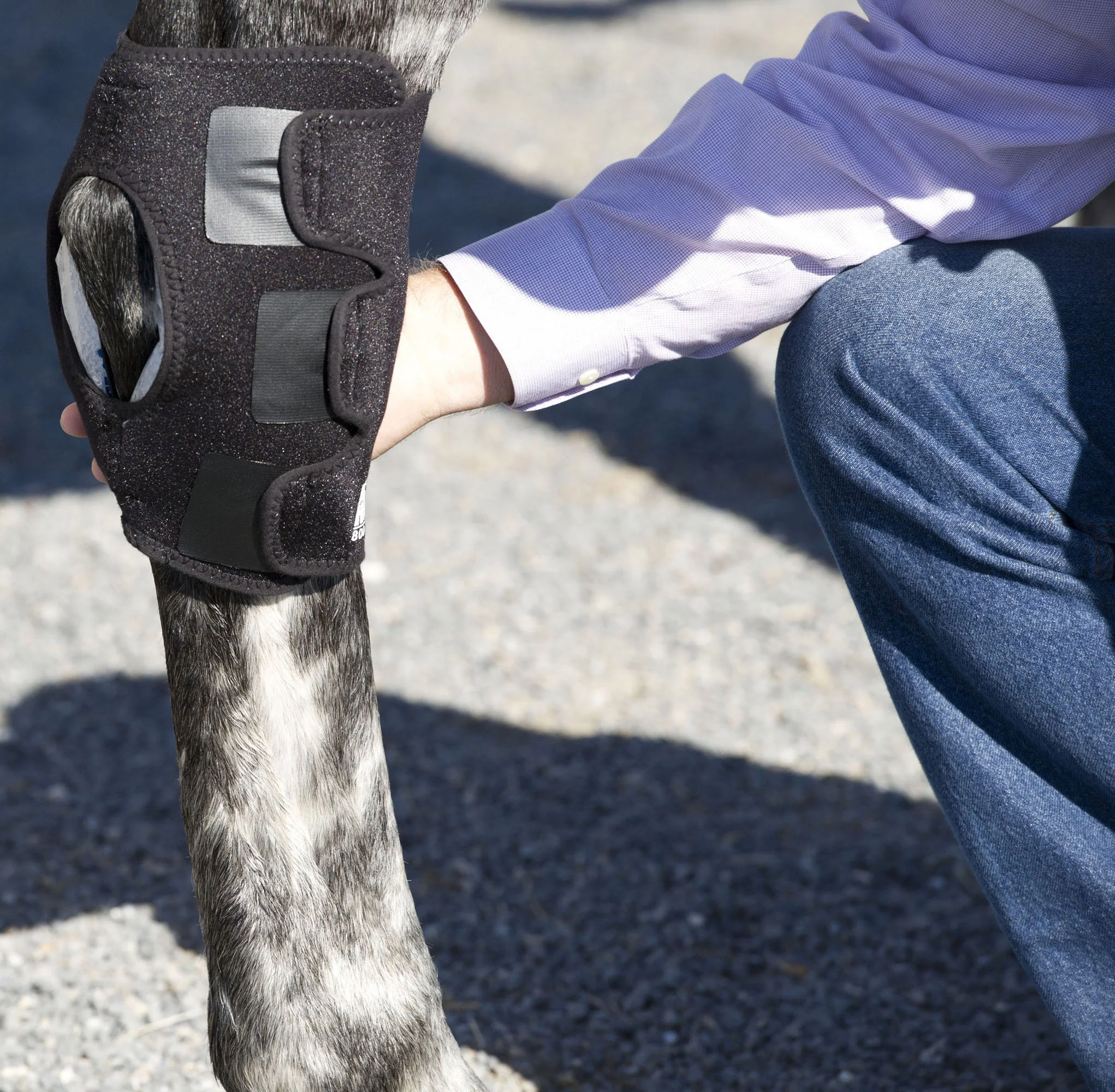 Ice Horse® Pony Hock Wrap – Pair - Image 3
