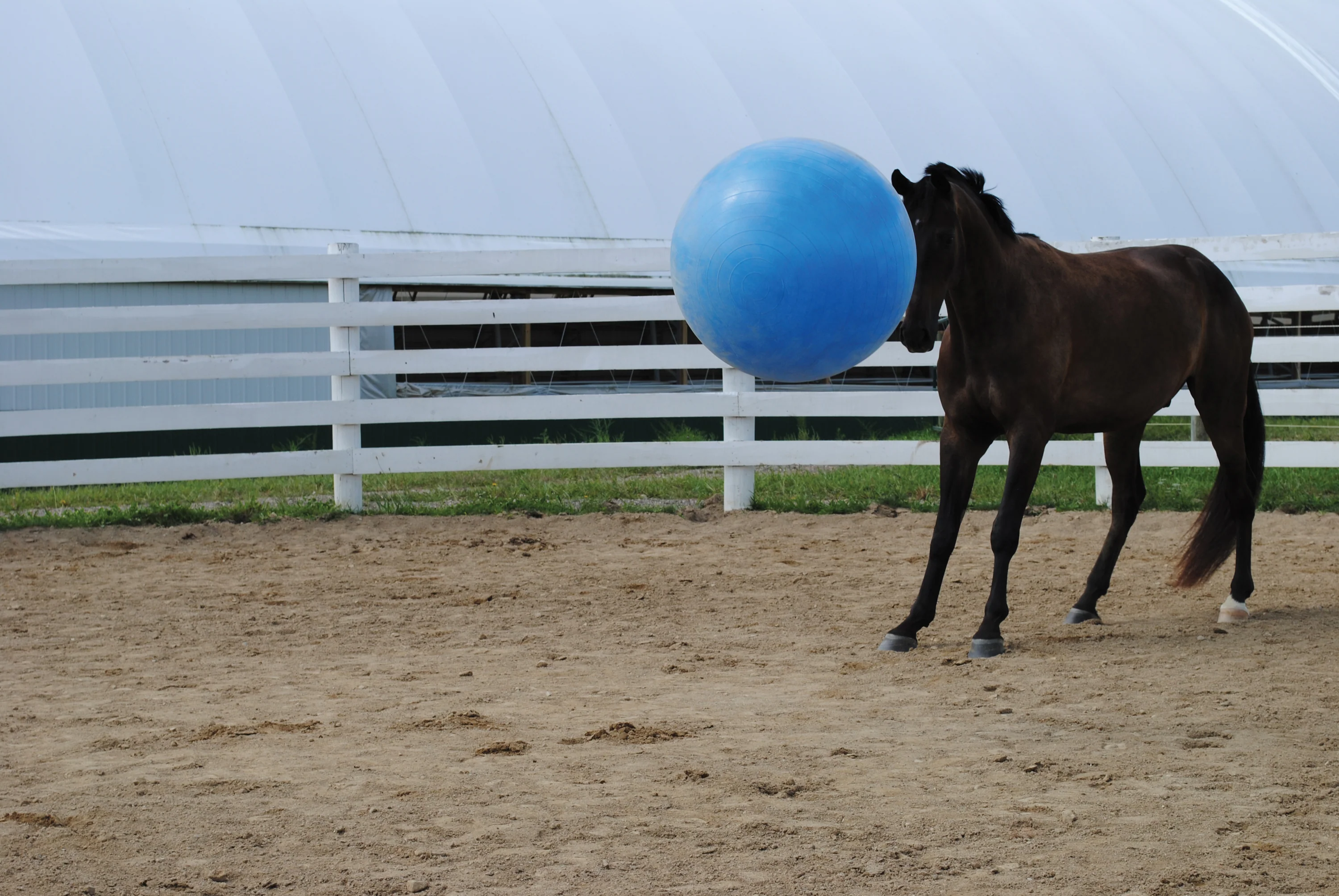 Jolly Mega Ball - Image 4