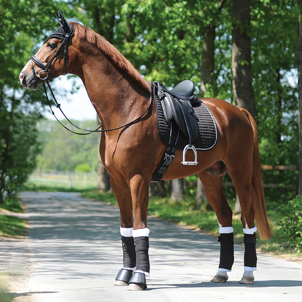 Kavalkade KavalEasy Rhinestone Dressage Pad - Image 3