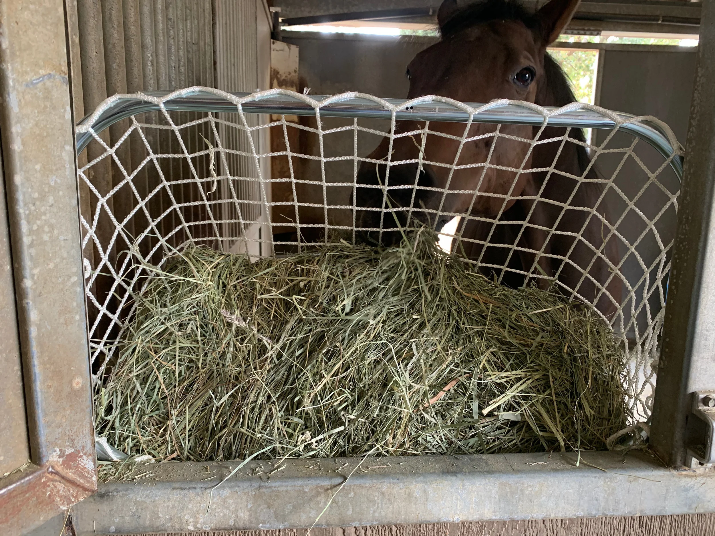 Kensington™ Freedom Feeder Adjustable Frame - Image 7