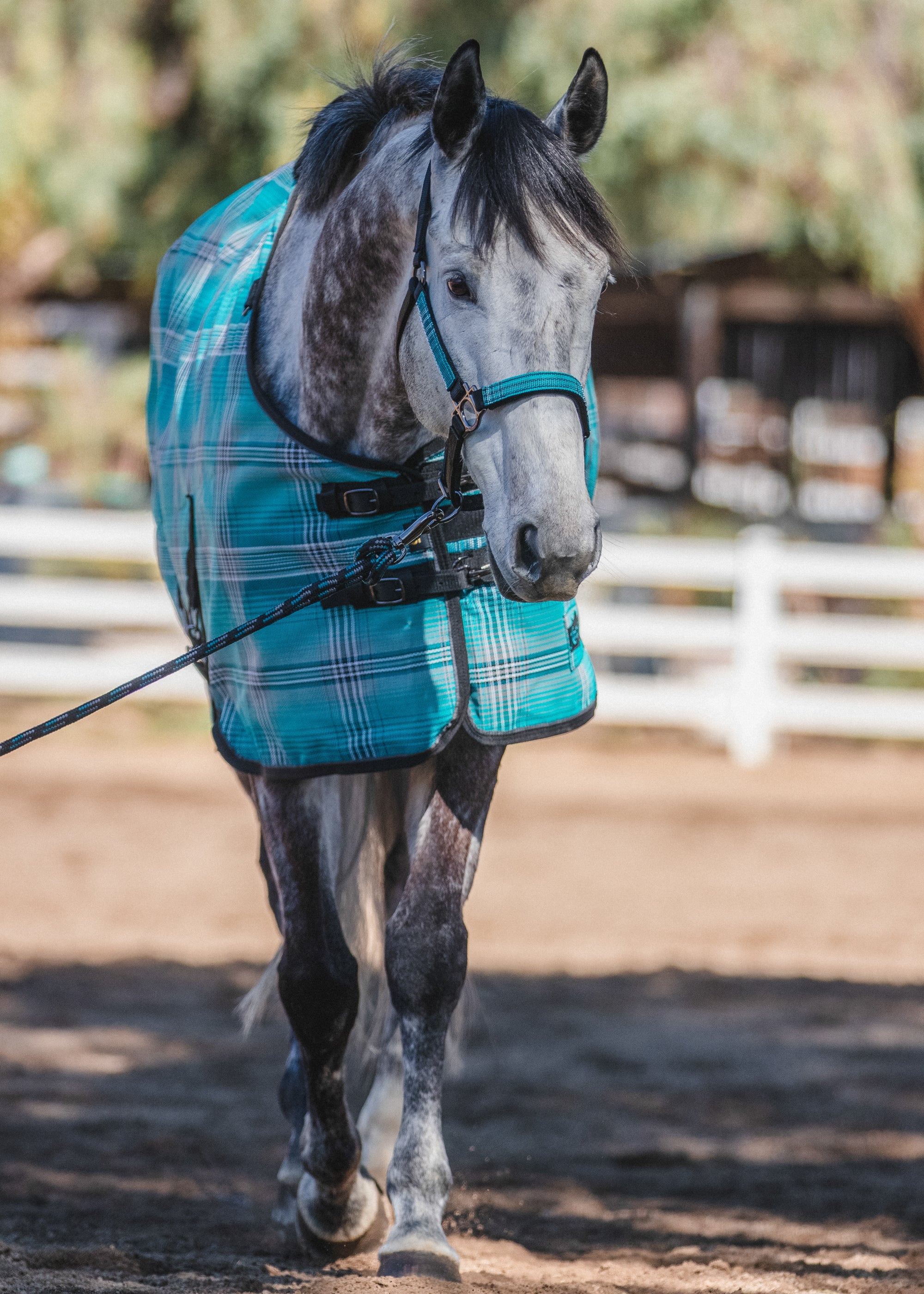 Kensington™ Pony Protective Sheet SureFit® - Image 11