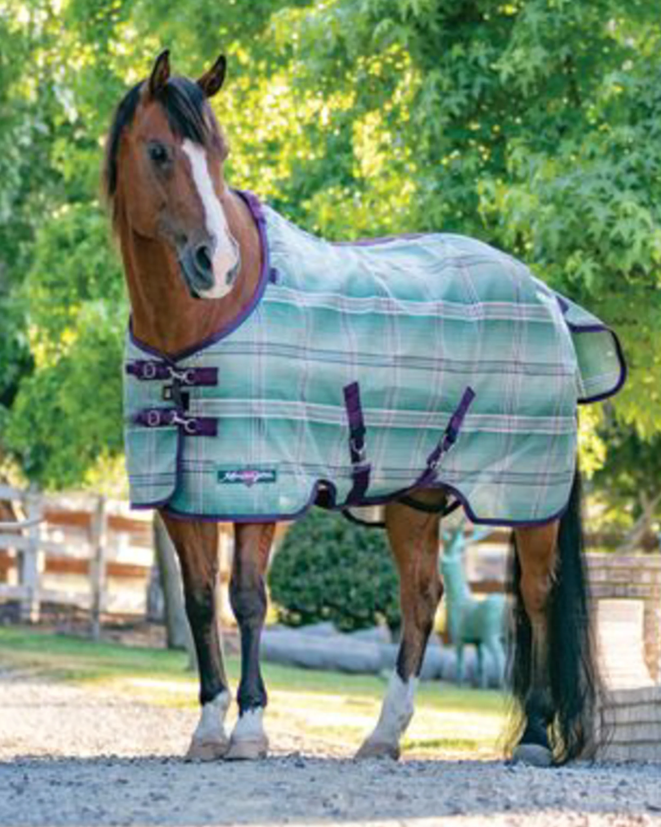 Kensington™ Pony Protective Sheet SureFit® - Image 13