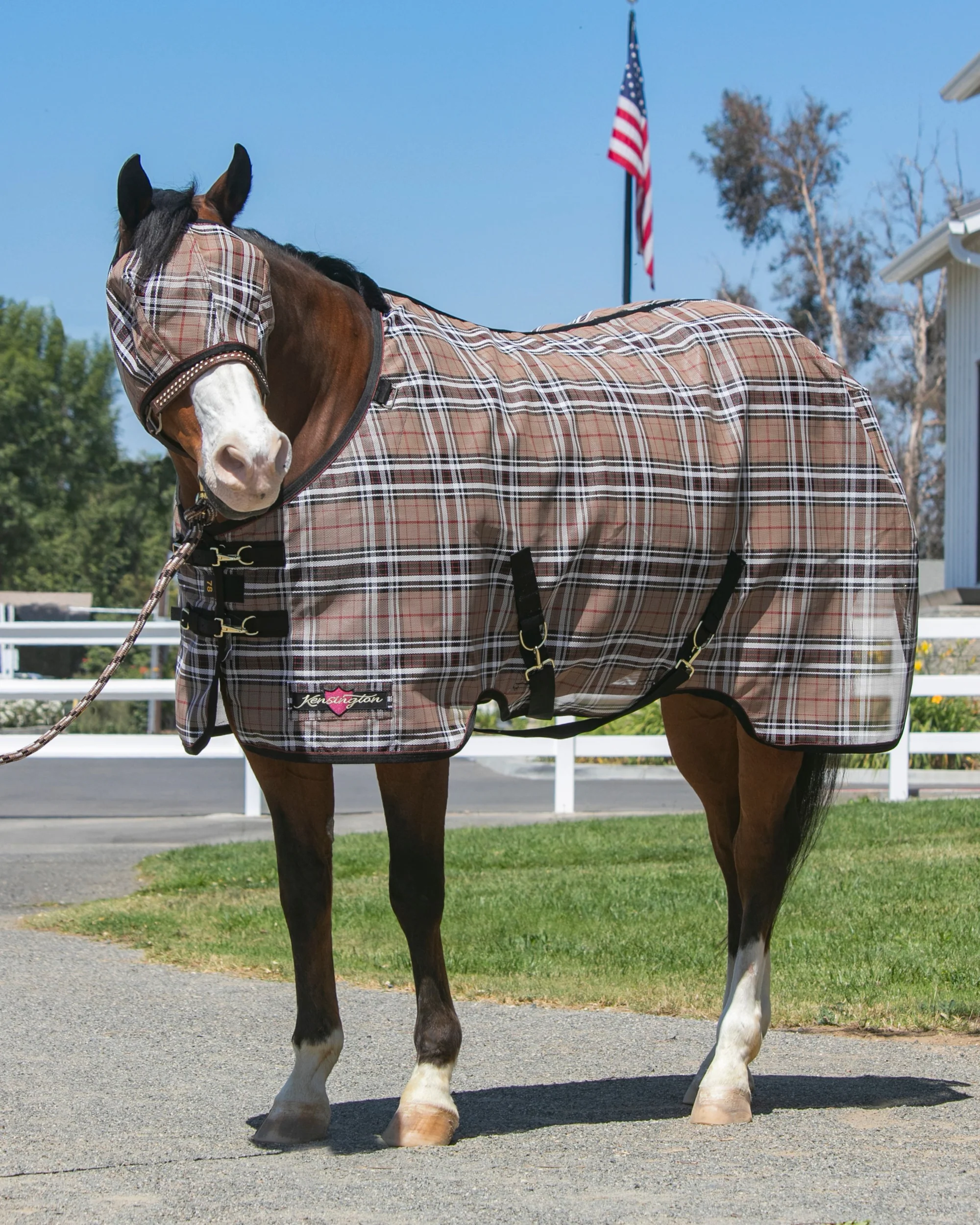 Kensington™ Pony Protective Sheet SureFit® - Image 3