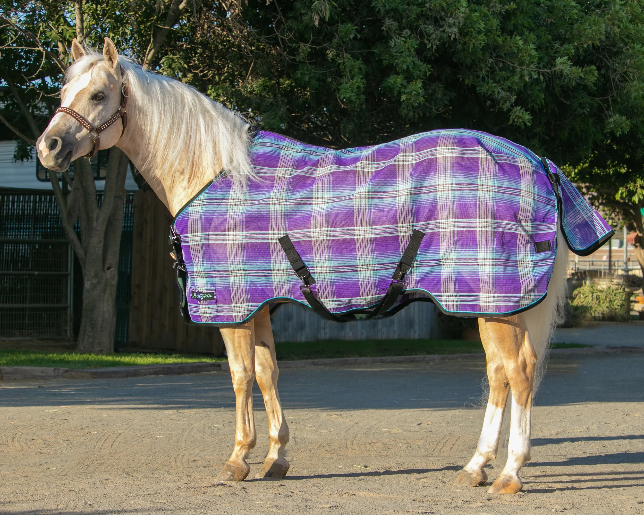 Kensington™ Pony Protective Sheet SureFit® - Image 5