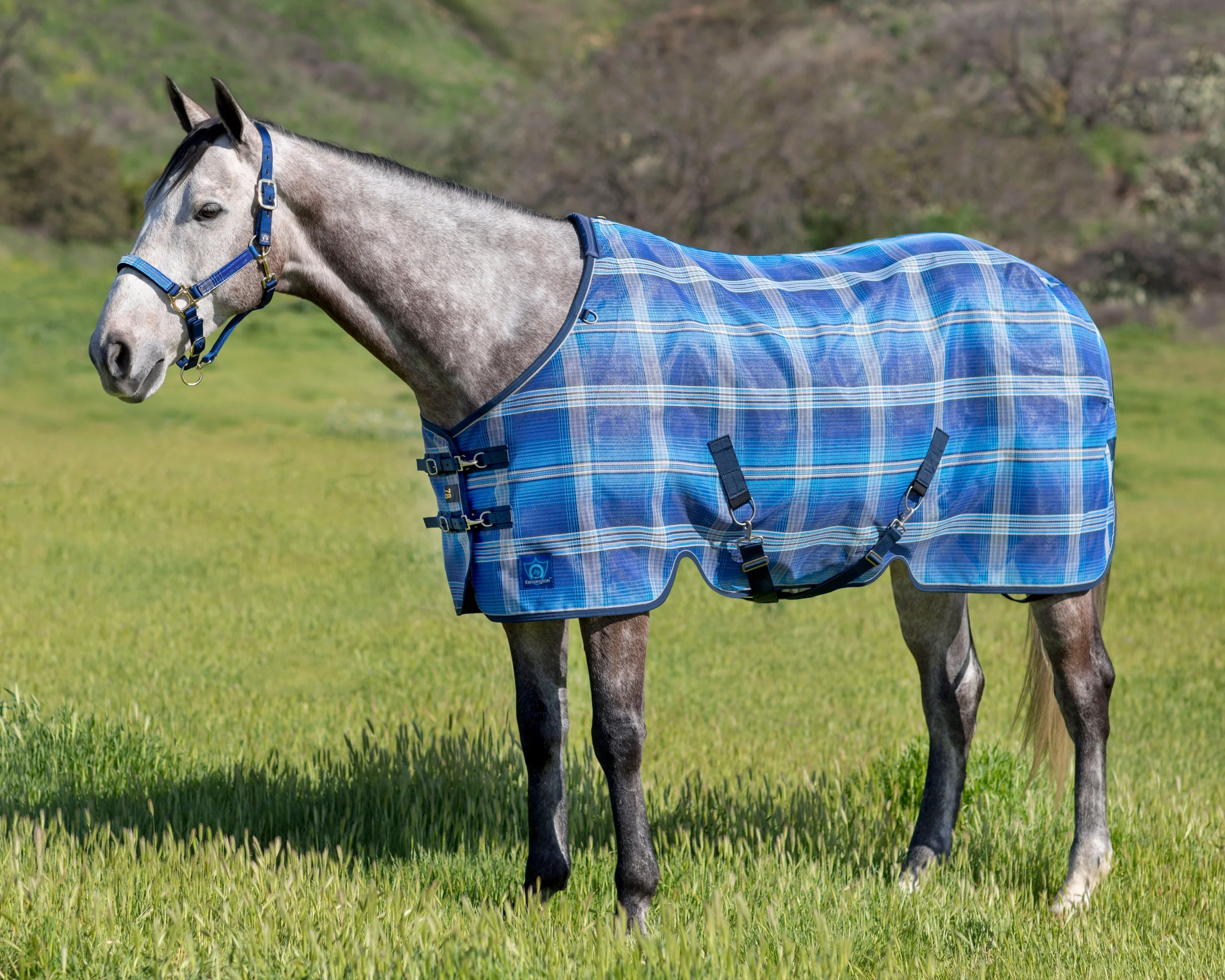Kensington™ Pony Protective Sheet SureFit® - Image 7