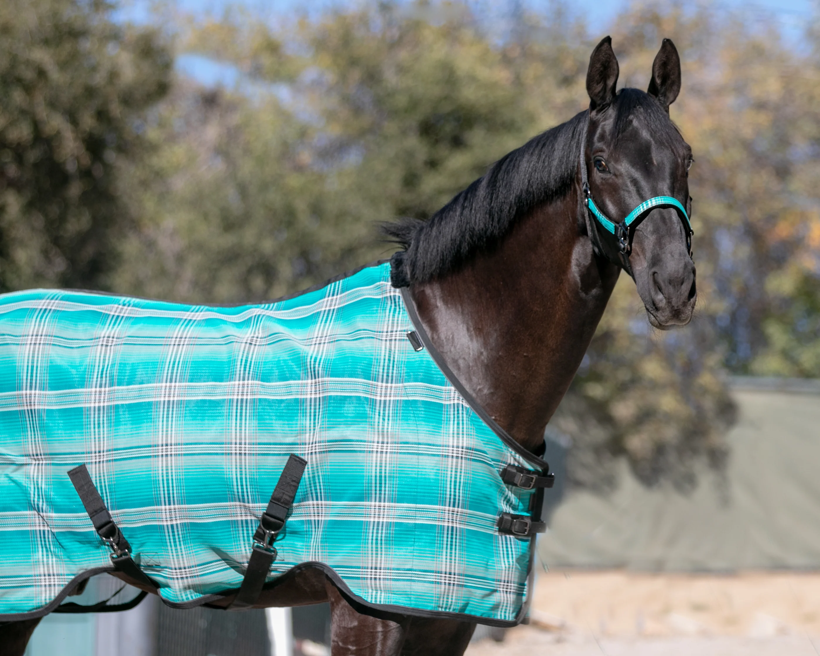 Kensington™ Pony Protective Sheet SureFit® - Image 9