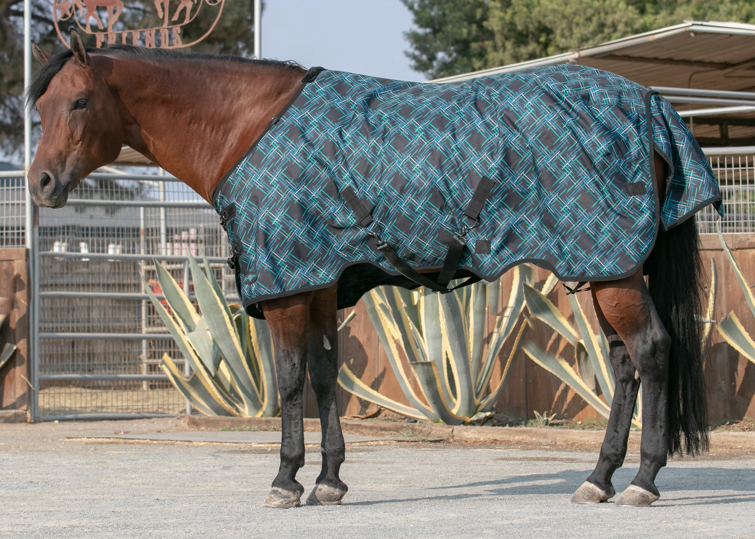 Kensington™ Pony Signature Heavyweight Turnout Blanket - Image 7