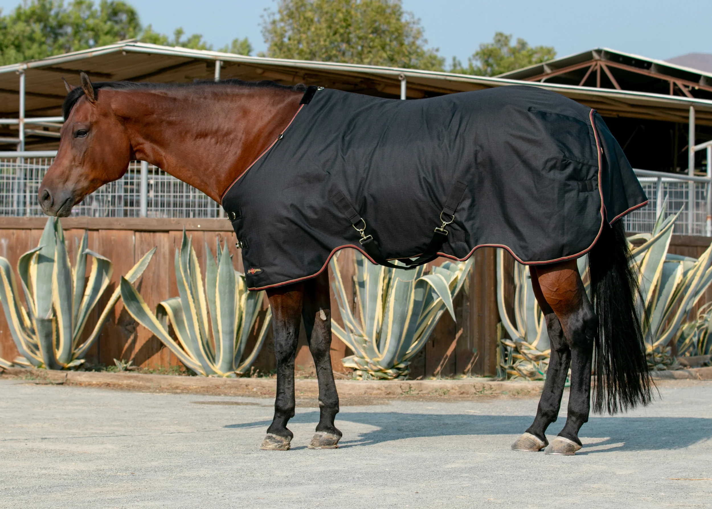 Kensington™ Pony Signature Heavyweight Turnout Blanket - Image 9