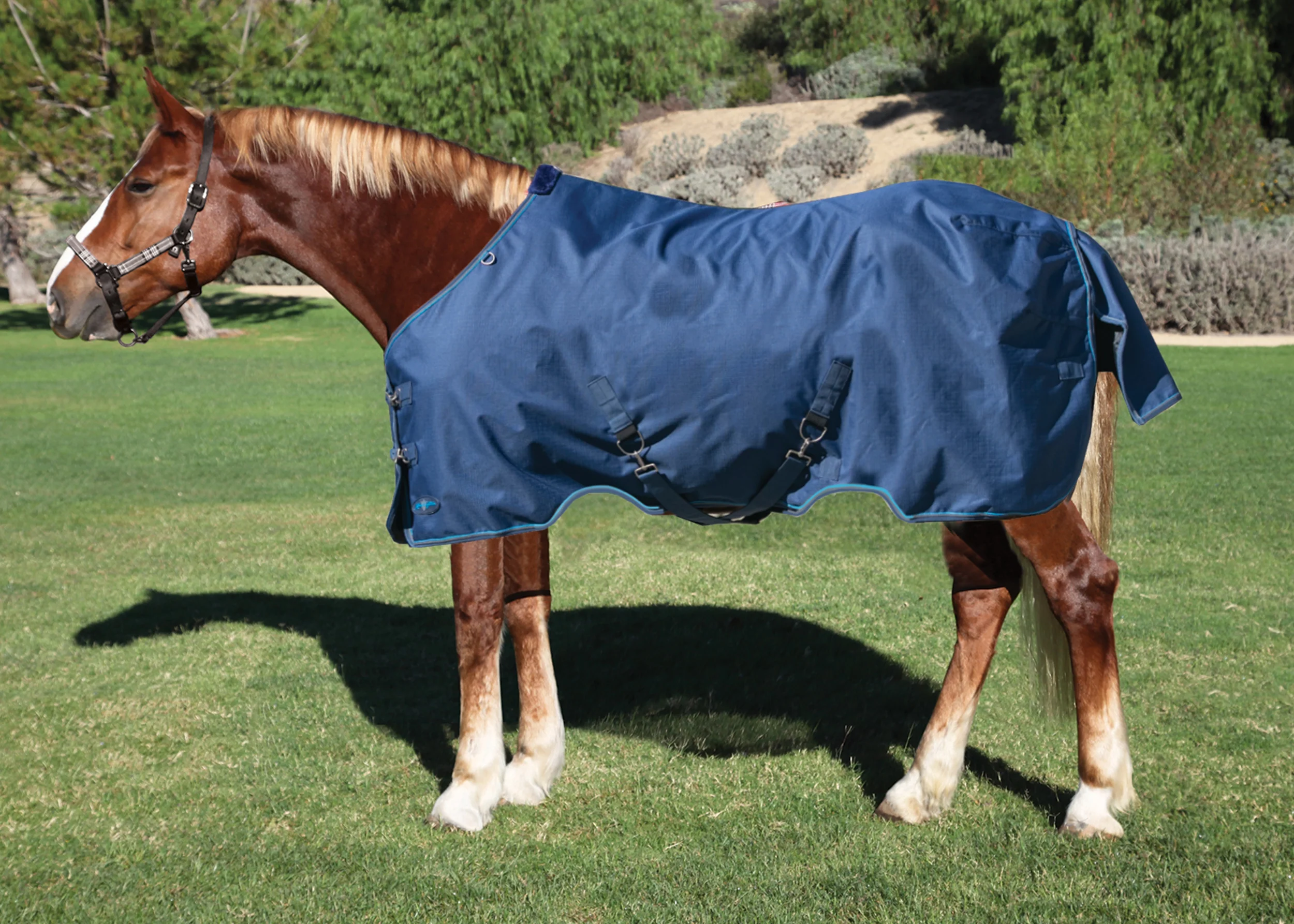 Kensington™ Pony Signature Lightweight Turnout Blanket - Image 9