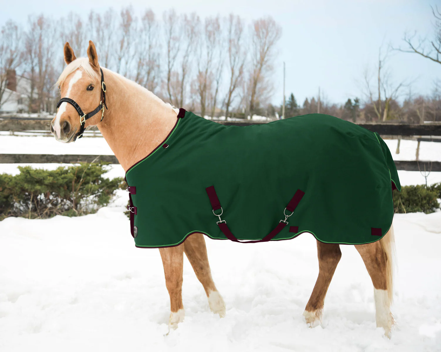 Kensington™ Pony Signature Medium Weight Turnout Blanket - Image 5