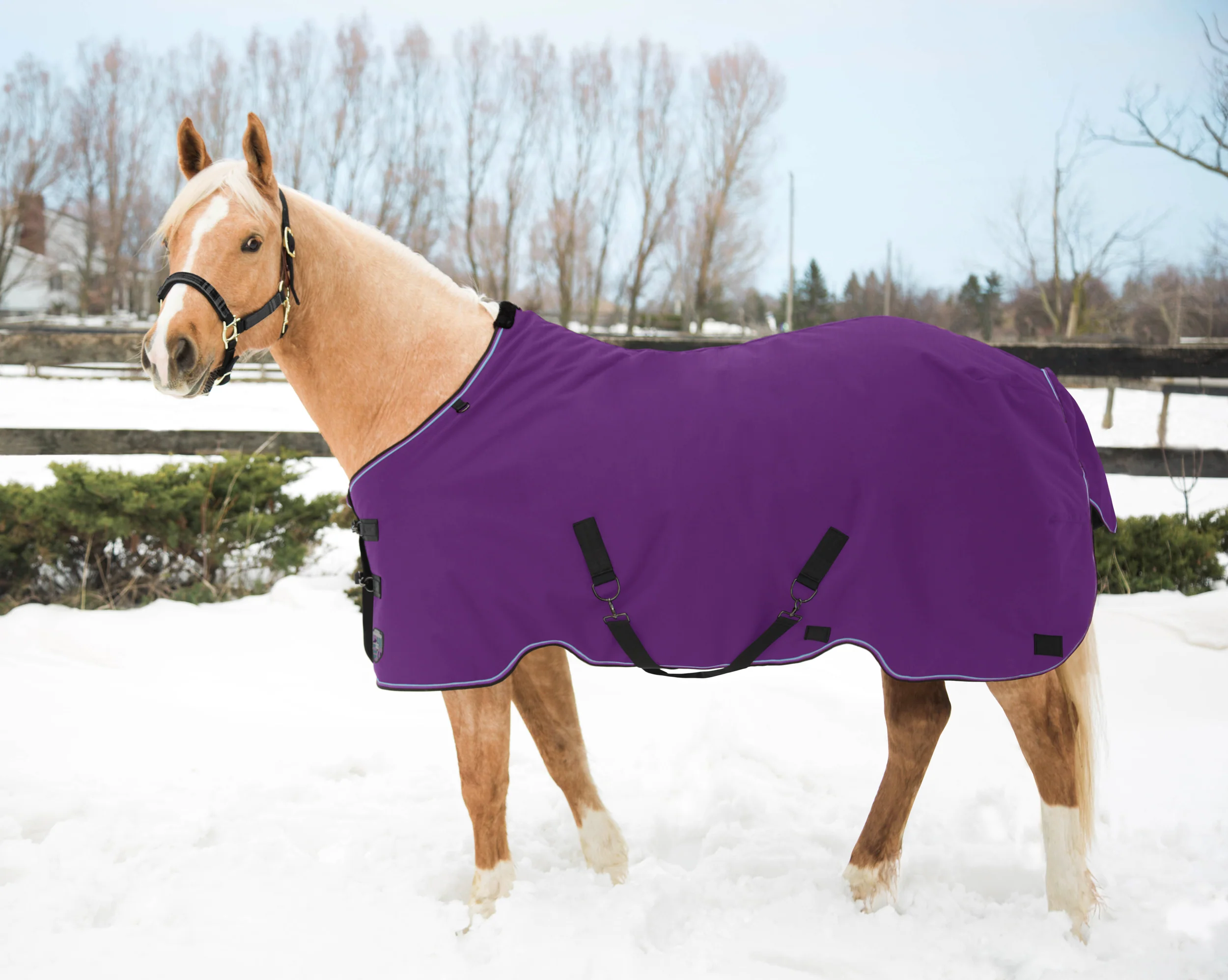 Kensington™ Pony Signature Medium Weight Turnout Blanket - Image 8