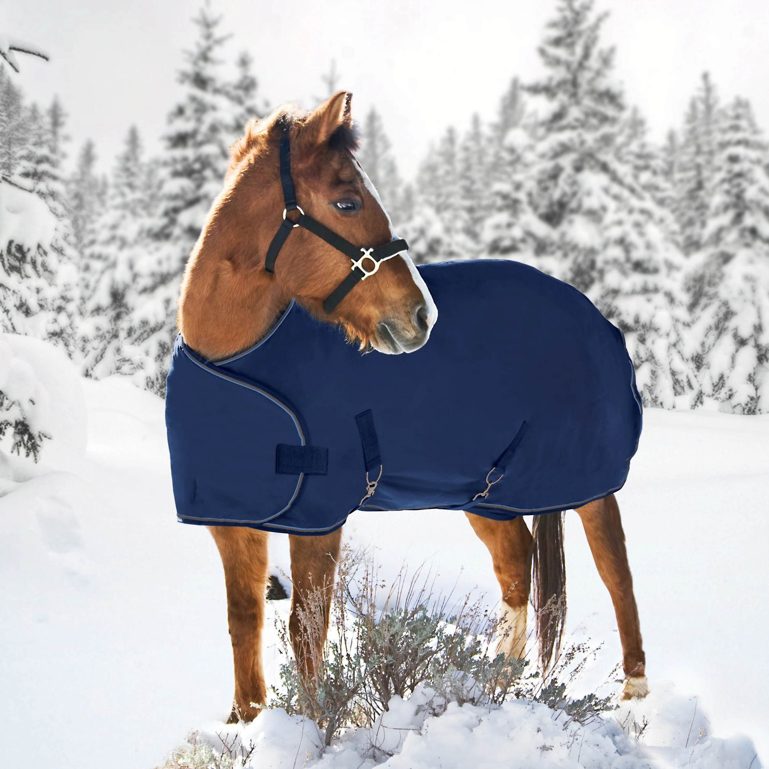 Kensington™ Signature Adjustable Yearling Turnout Blanket - Image 11