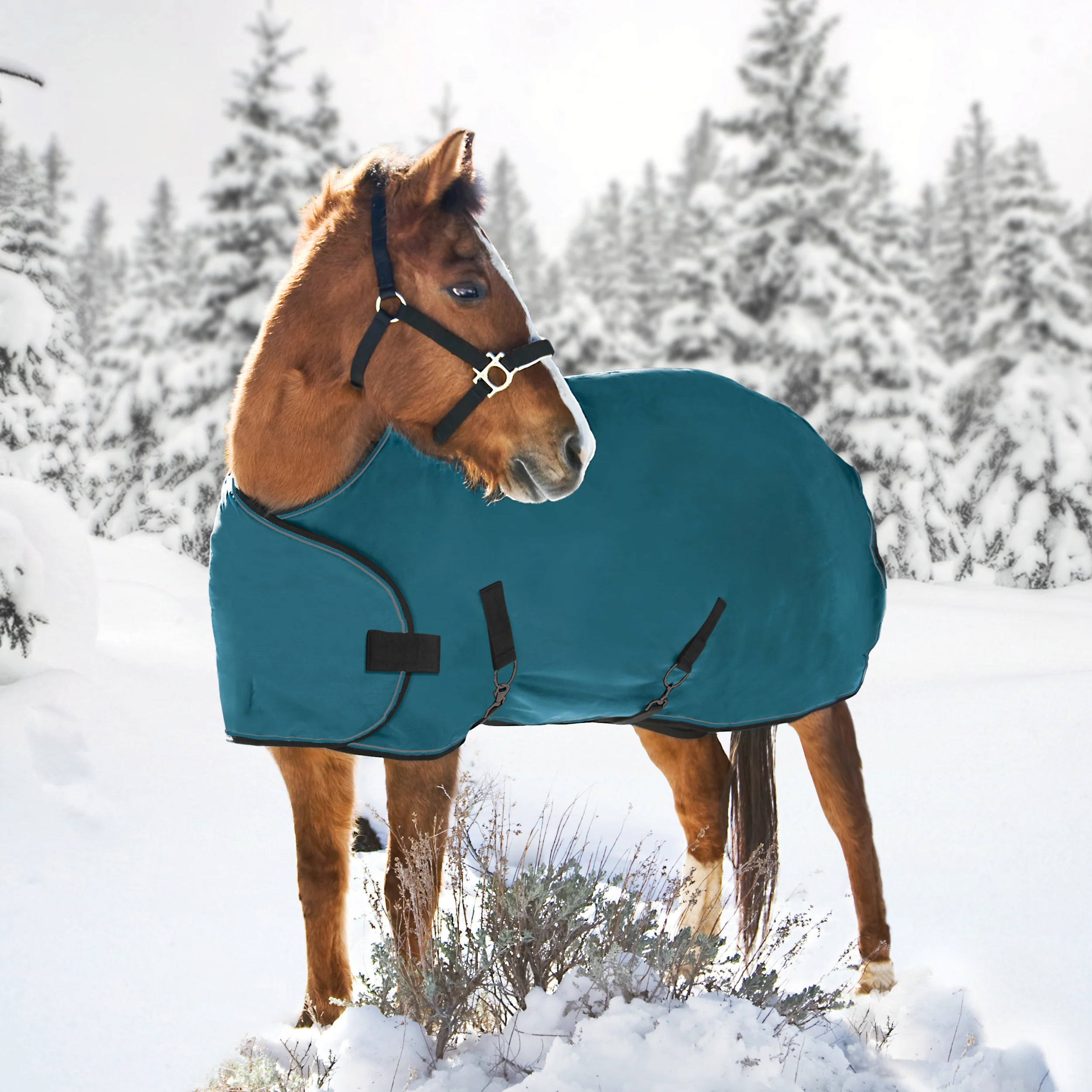 Kensington™ Signature Adjustable Yearling Turnout Blanket - Image 4
