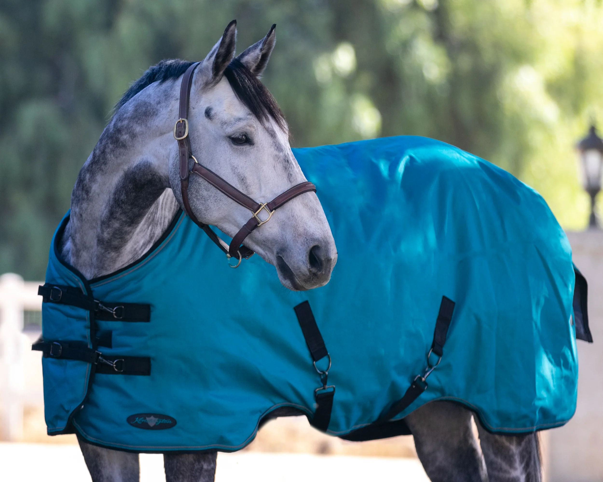 Kensington™ Signature Heavyweight Turnout Blanket - Image 6