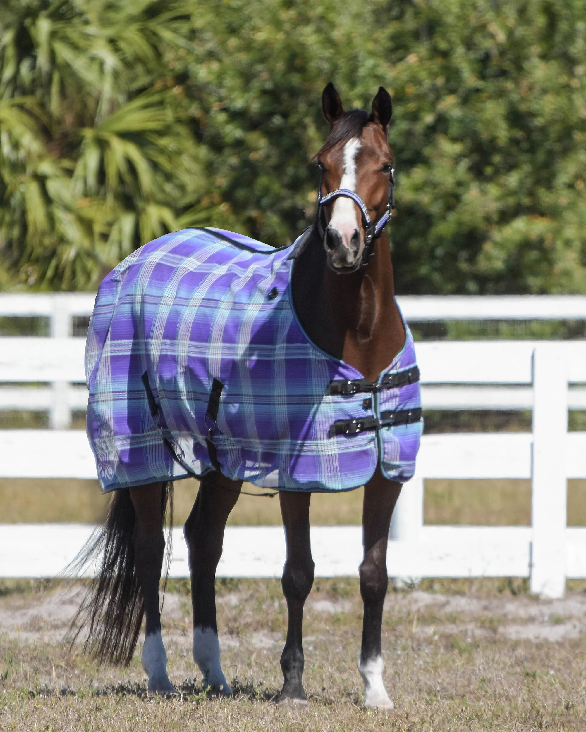 Kensington™ Signature Protective SureFit® Textilene®Fly Sheet - Image 17