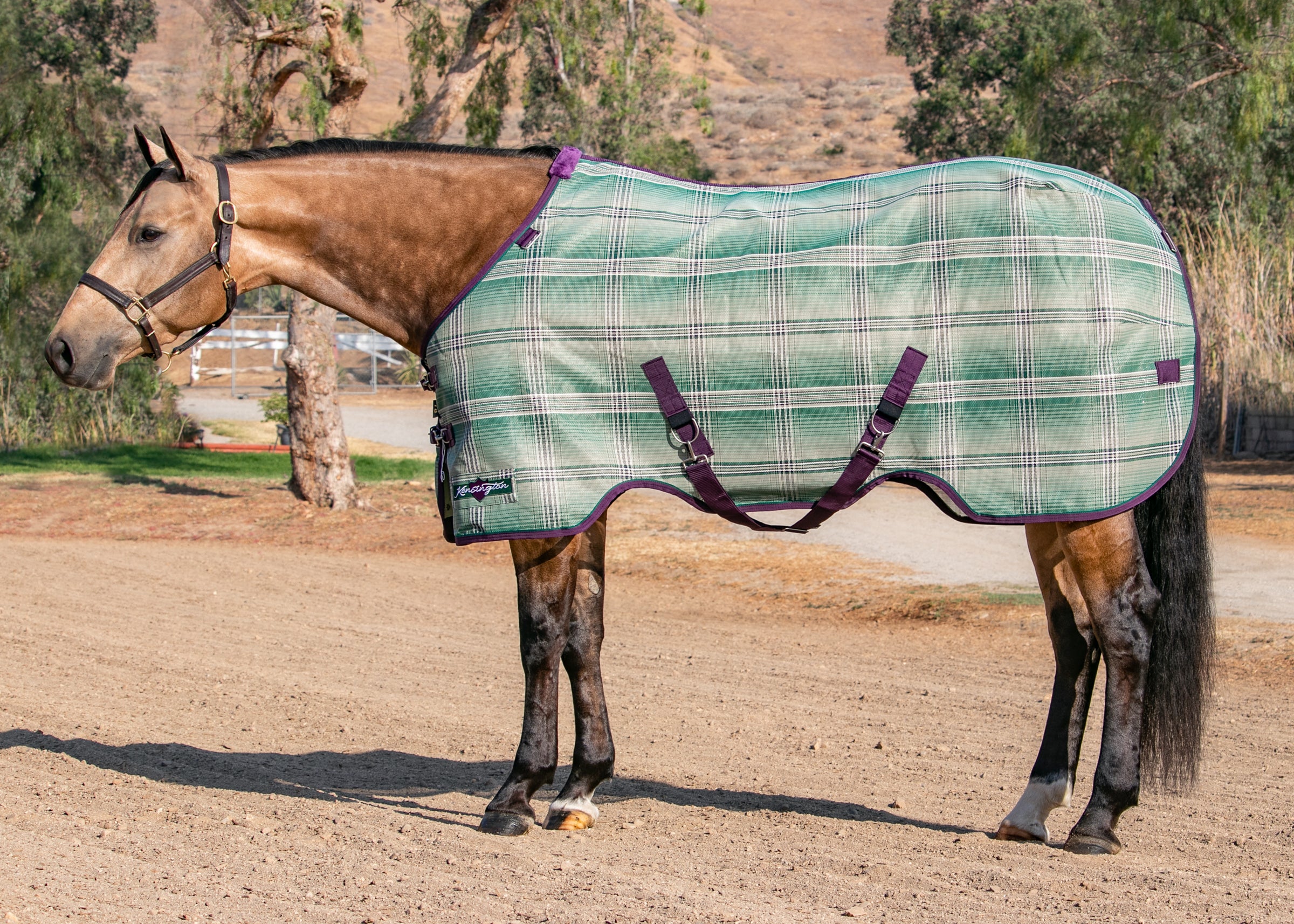 Kensington™ Signature Protective SureFit® Textilene®Fly Sheet - Image 44