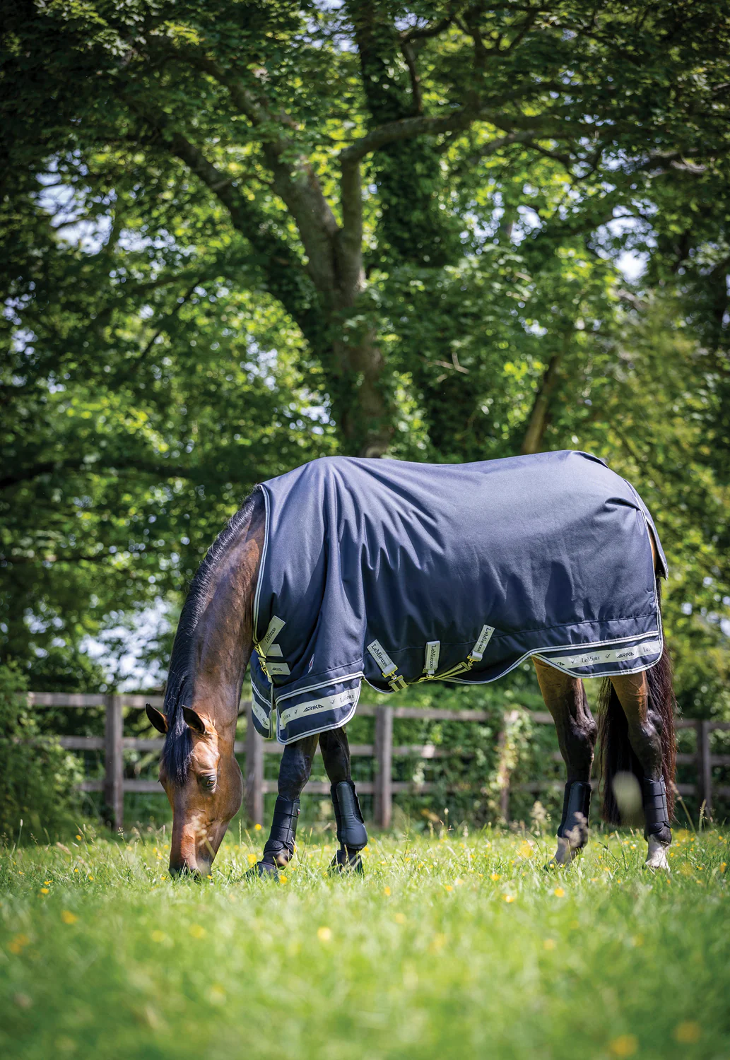 LeMieux® Arika Featherweight Turnout Sheet - Image 2