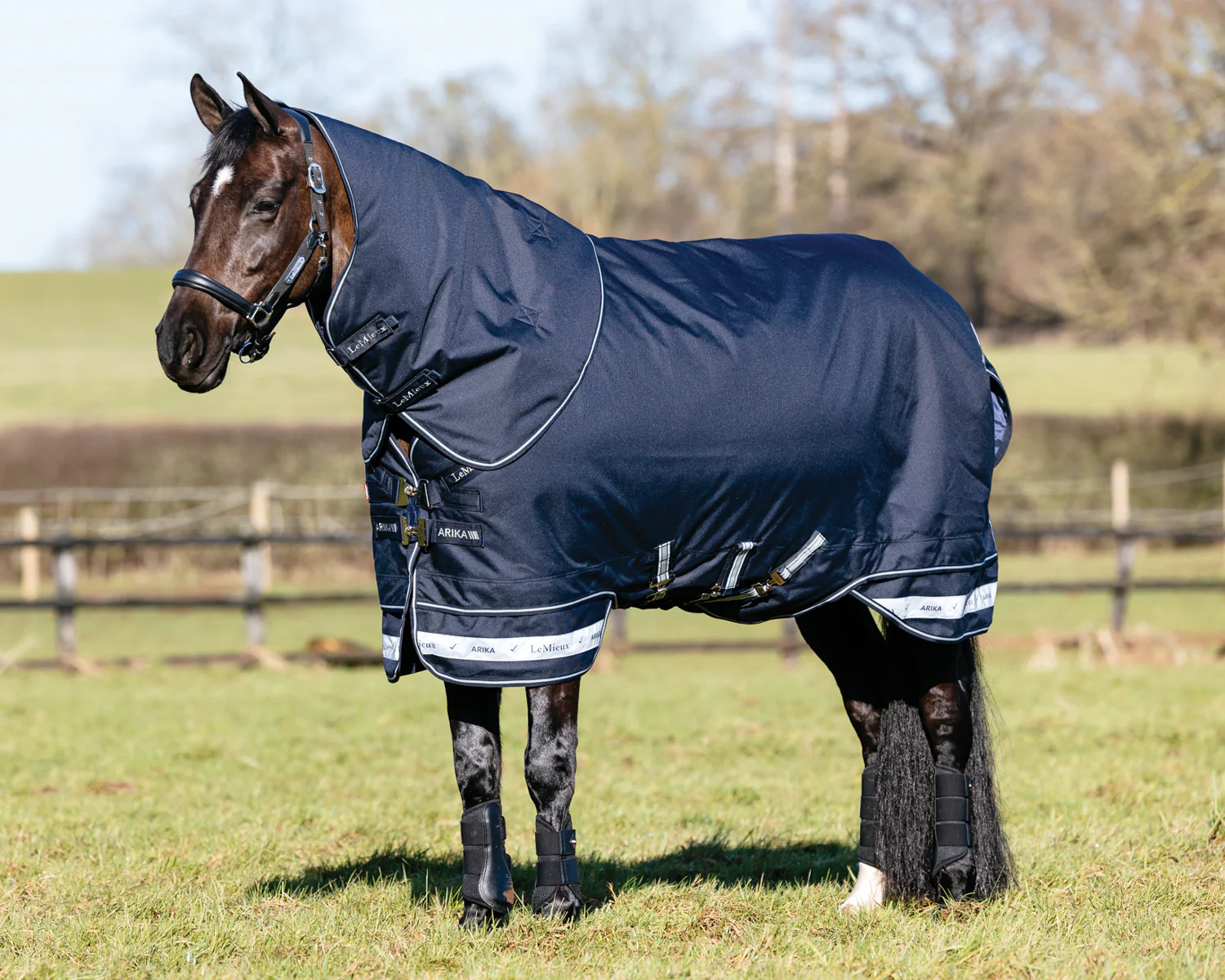 LeMieux® Arika Storm-Tek 100 Gram Turnout Blanket with Leg Straps