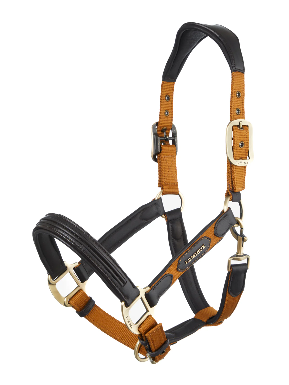 LeMieux® Capella Headcollar - Image 13