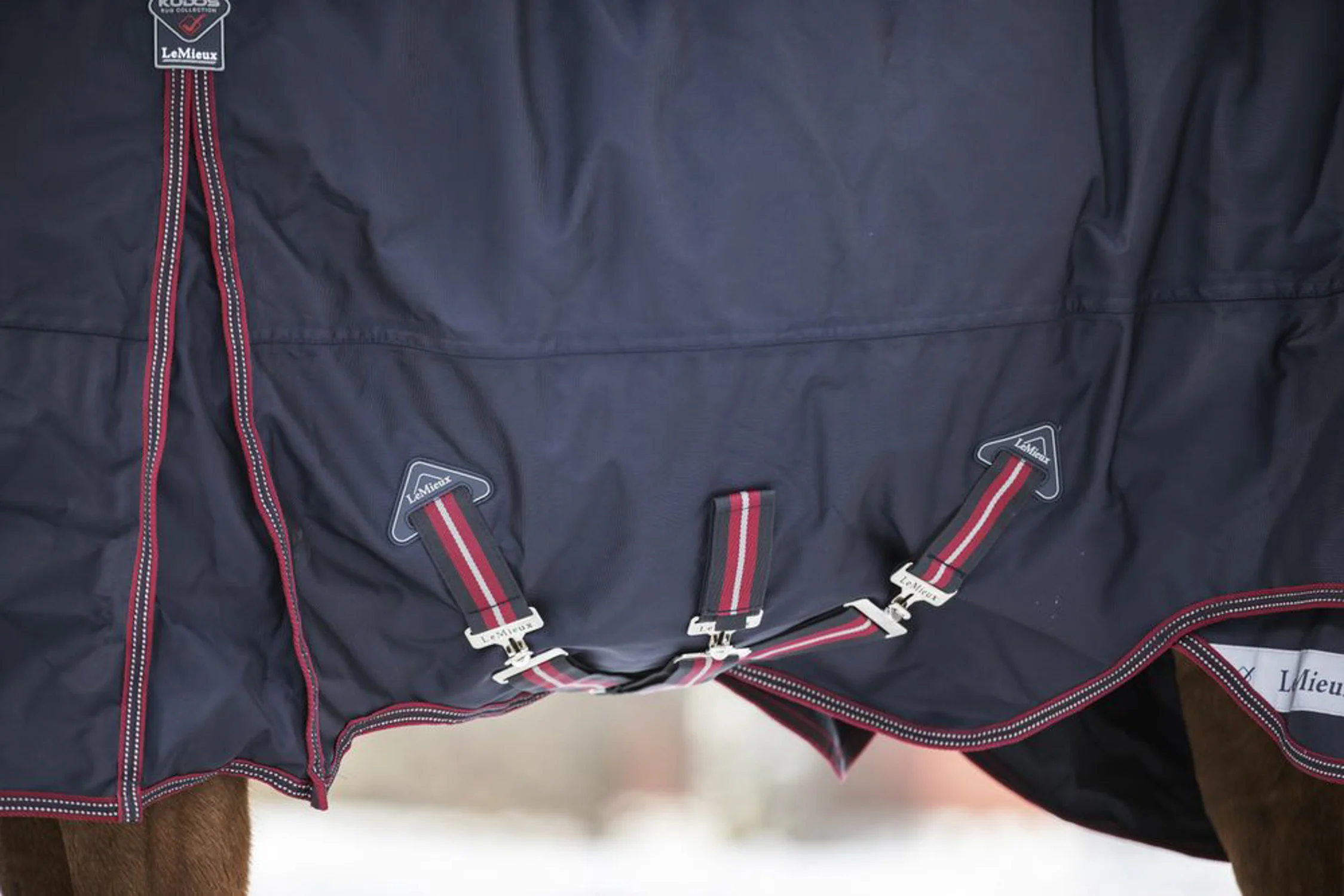 LeMieux® Kudos 100 Gram Turnout Blanket with Leg Straps - Image 3