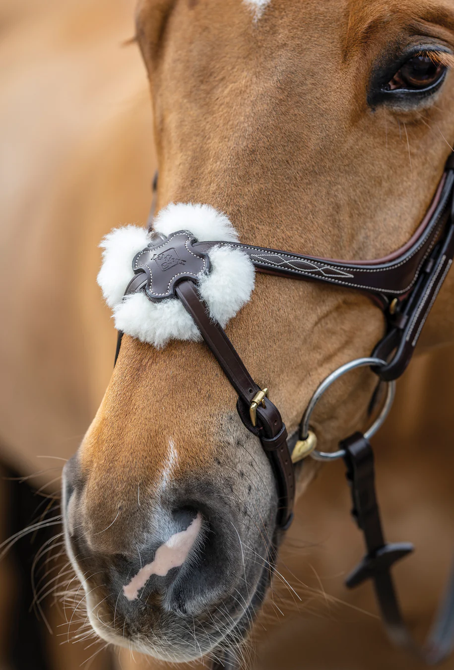 LeMieux® Kudos Figure-8 Bridle - Image 7