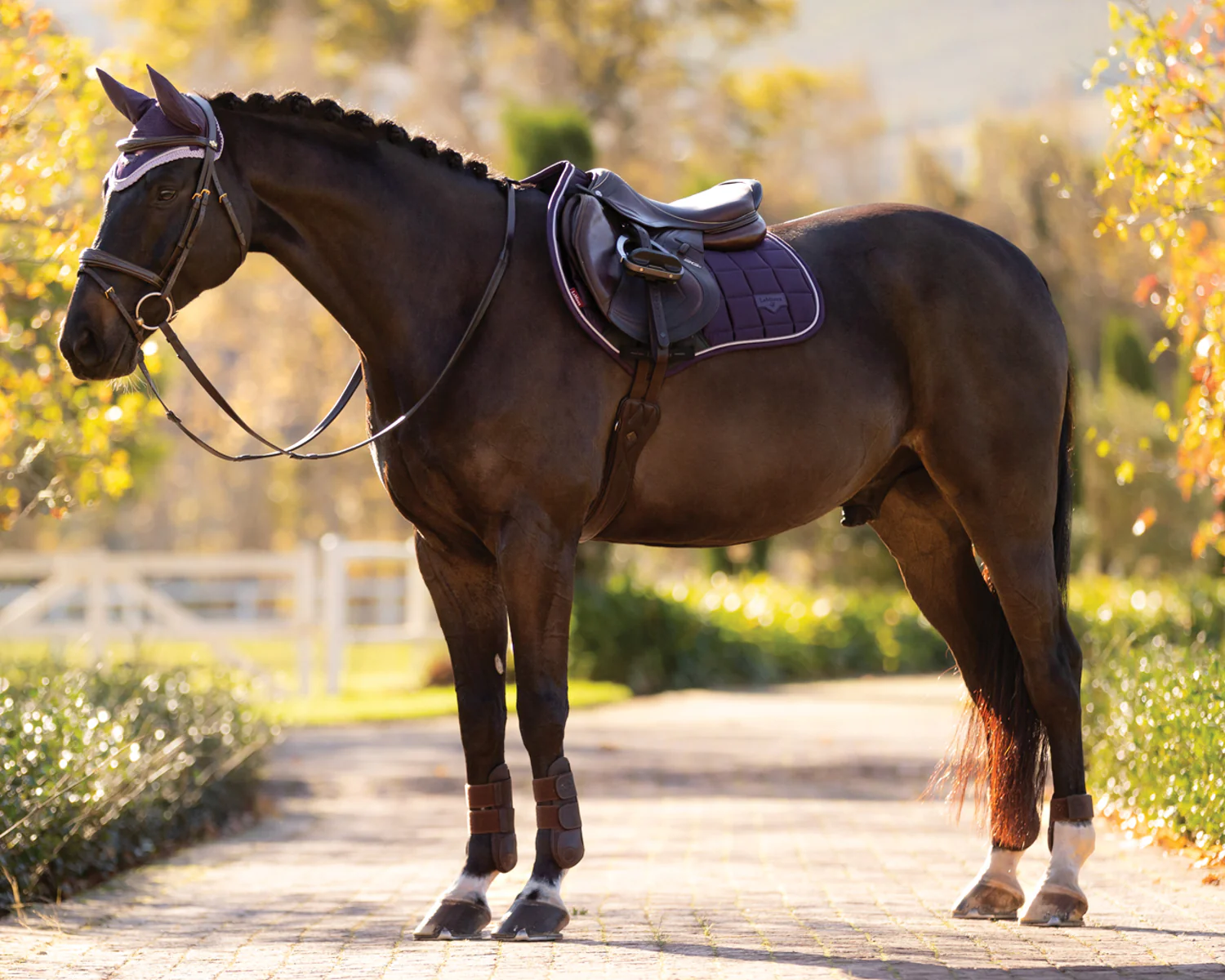 LeMieux® Loire Classic Close Contact Saddle Pad - Image 5
