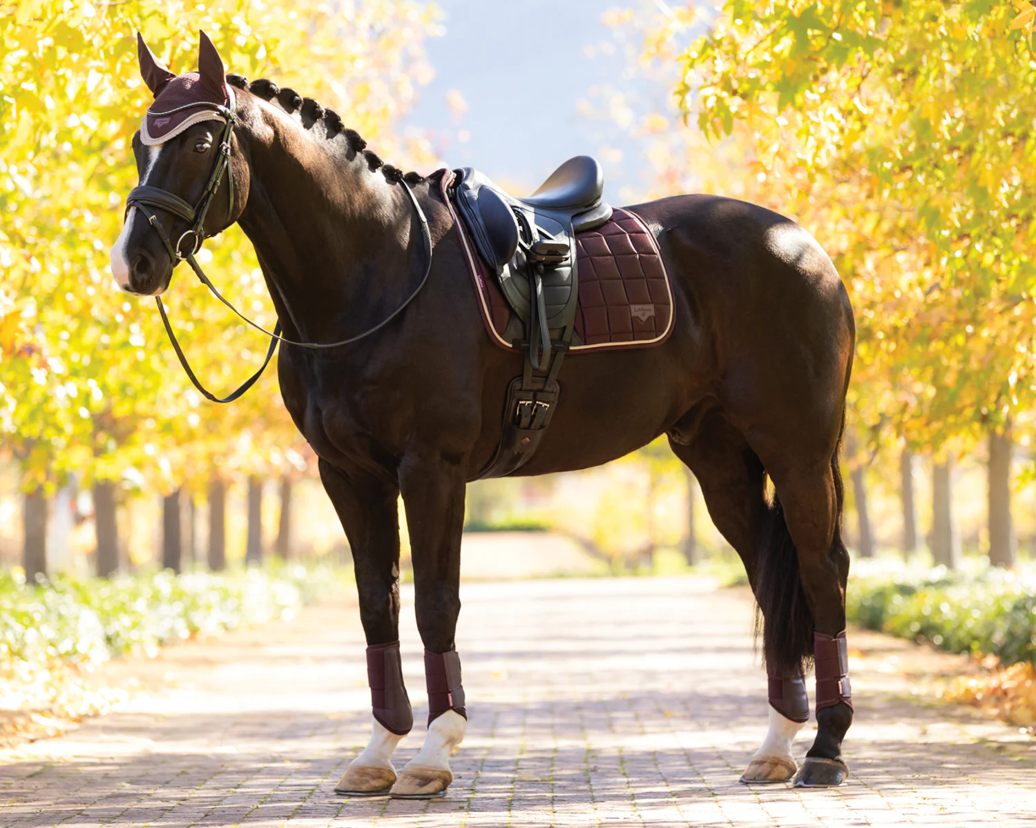 LeMieux® Loire Classic Dressage Saddle Pad - Image 4