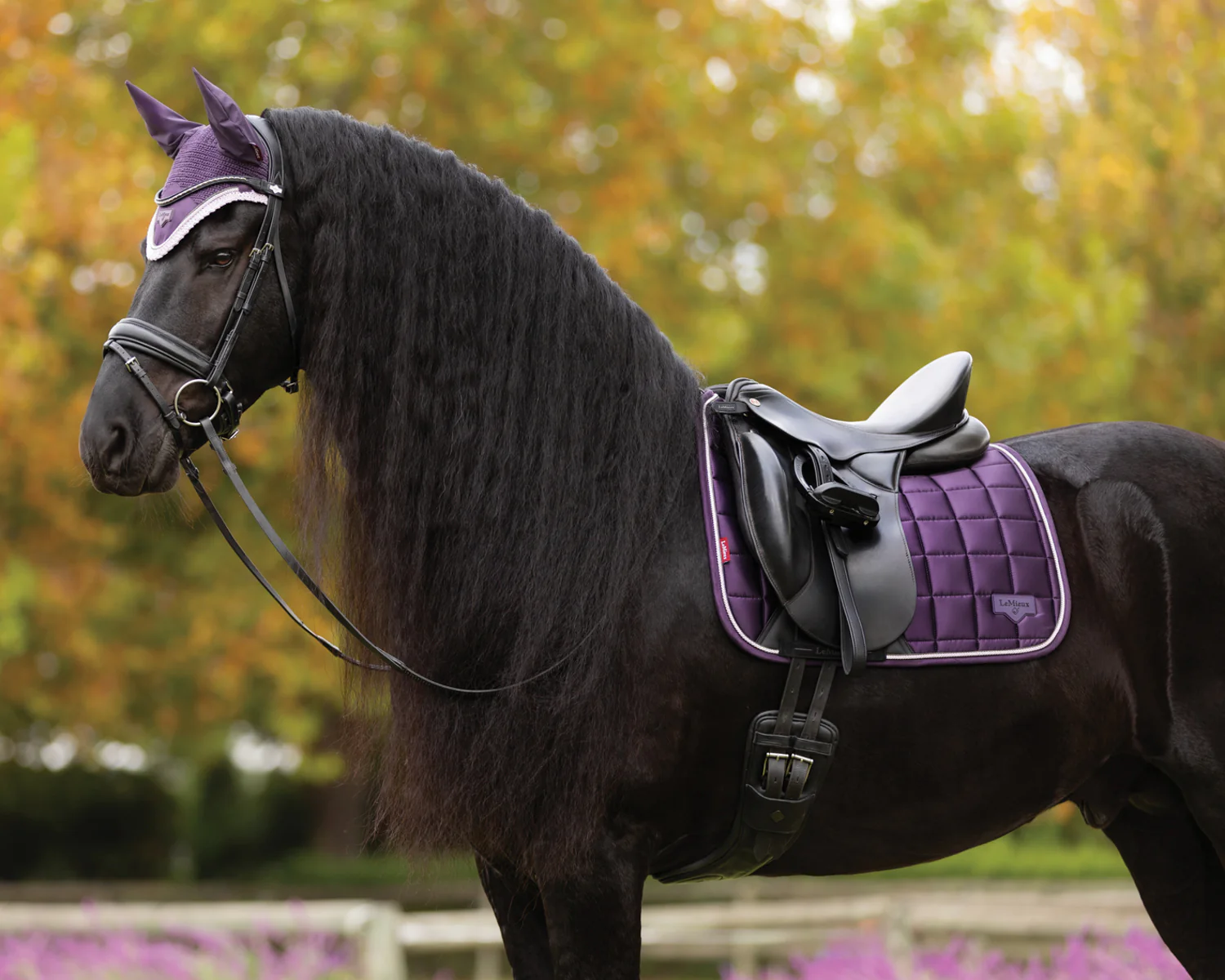 LeMieux® Loire Classic Dressage Saddle Pad - Image 6