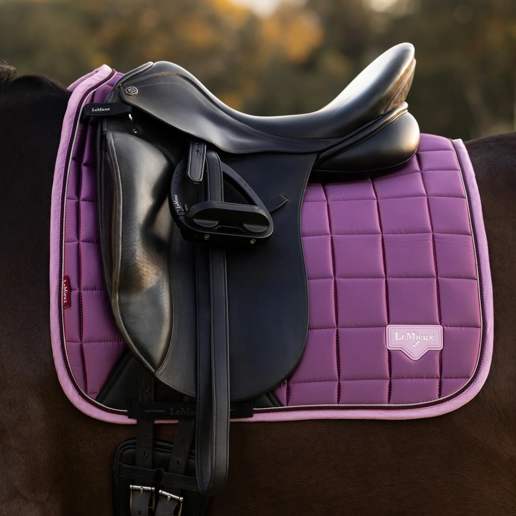 LeMieux® Loire Dressage Saddle Pad - Image 20