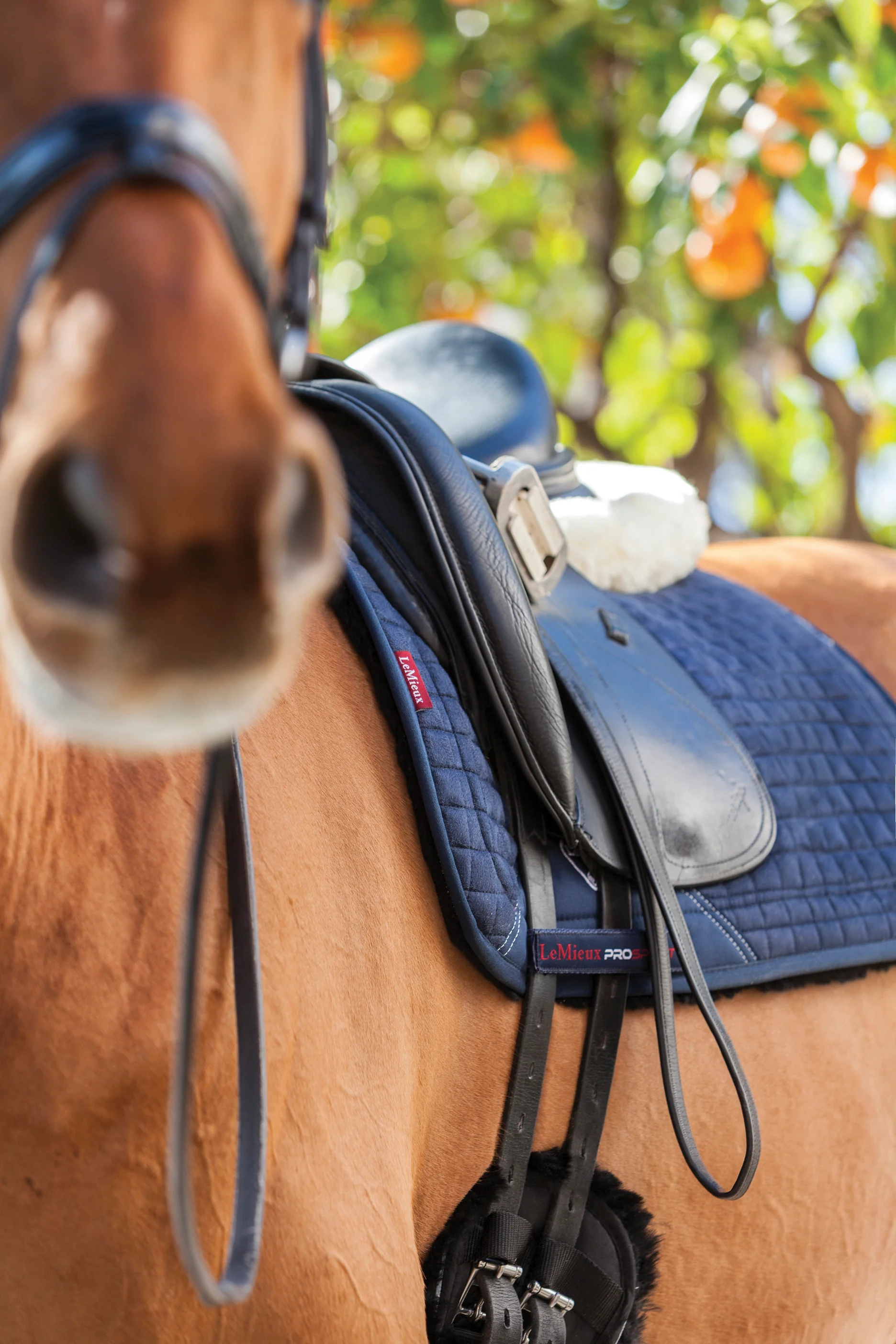 LeMieux® Sensitive Skin Dressage Pad - Image 2